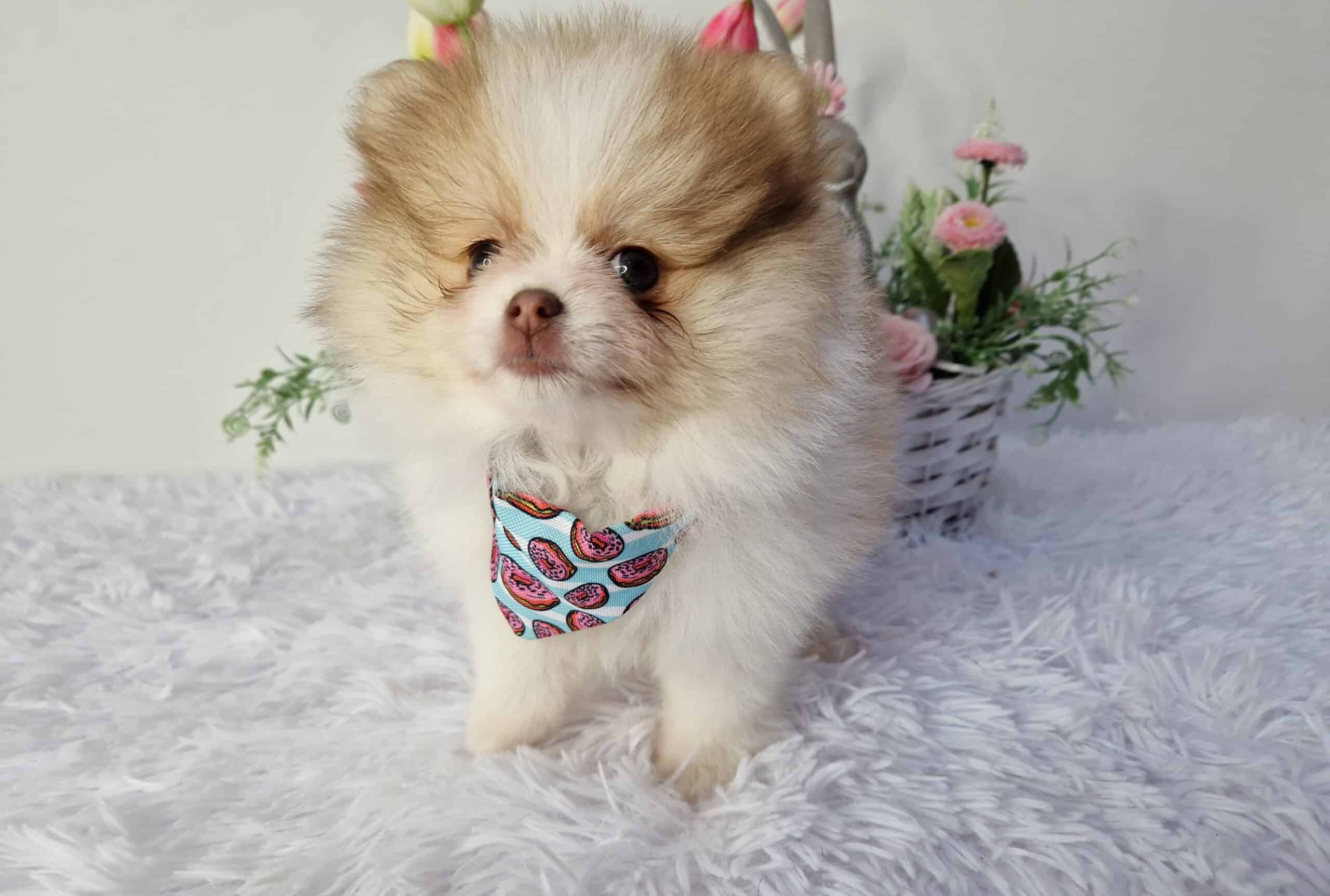 20230318 094701 043 saved scaled