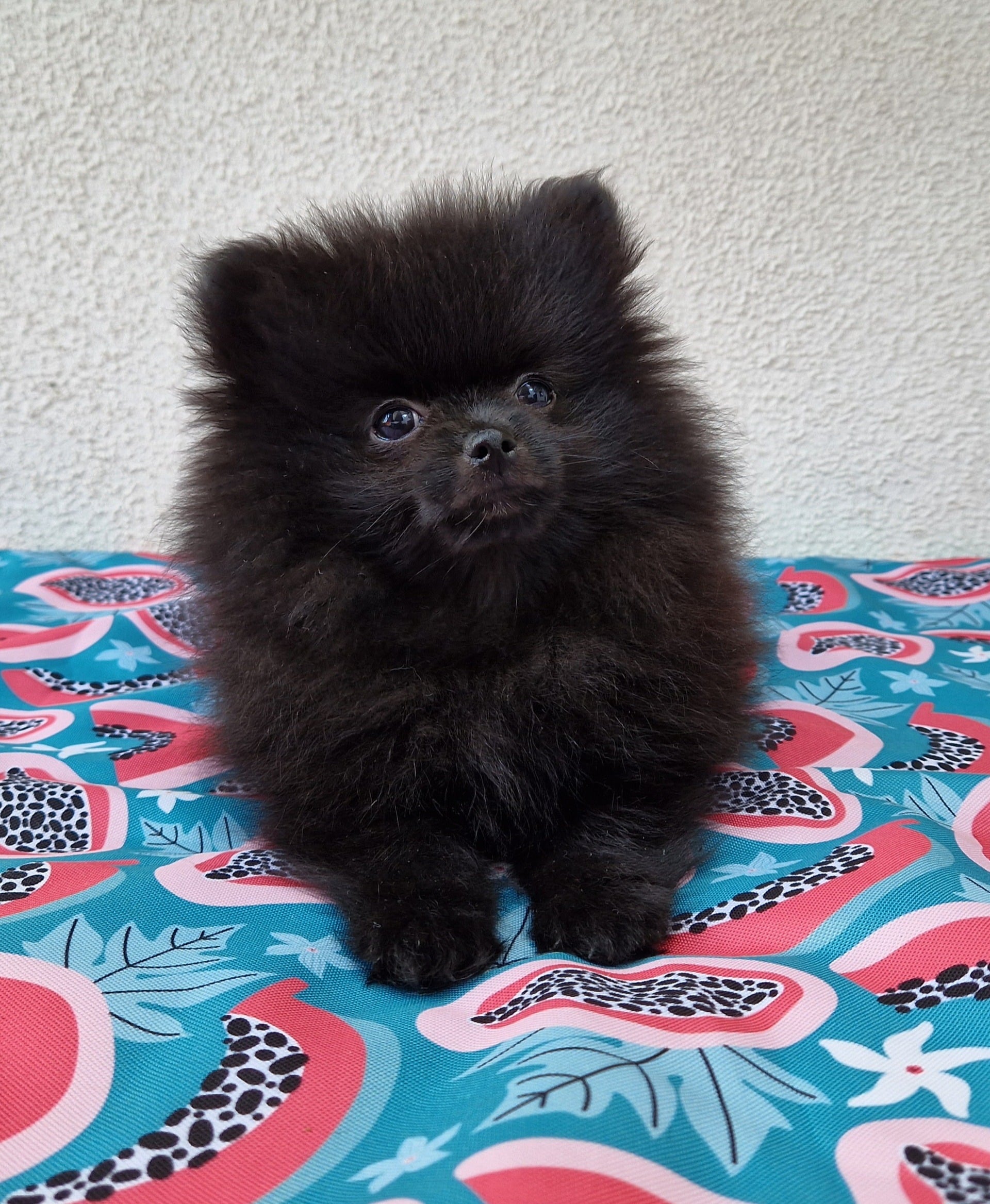 20230907 134026 resized