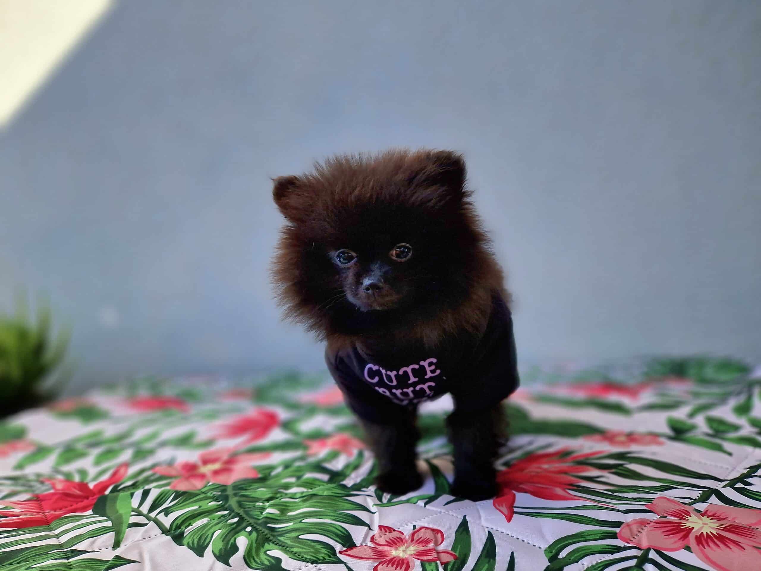 20230914 153601 scaled