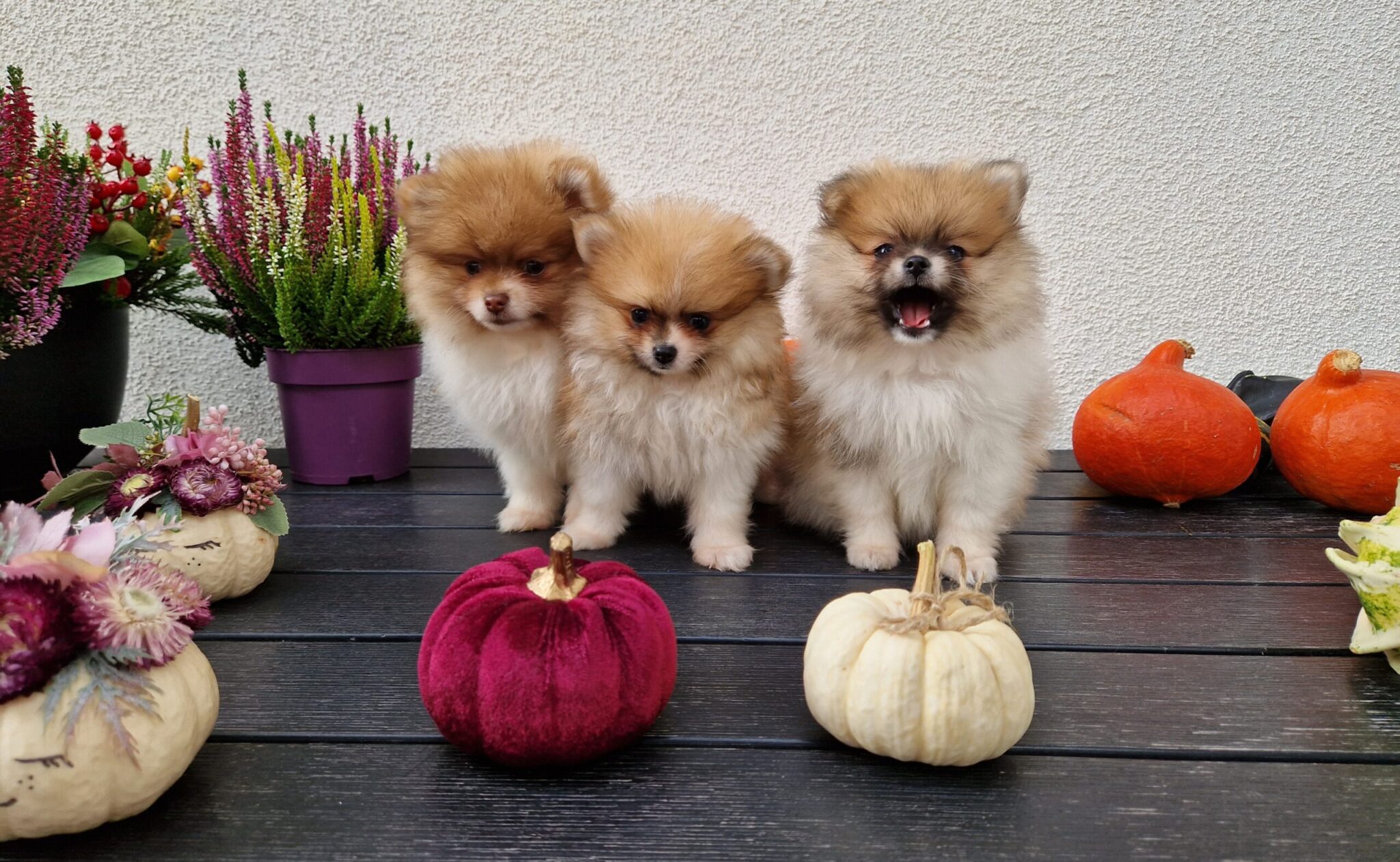 20230929 153430 scaled