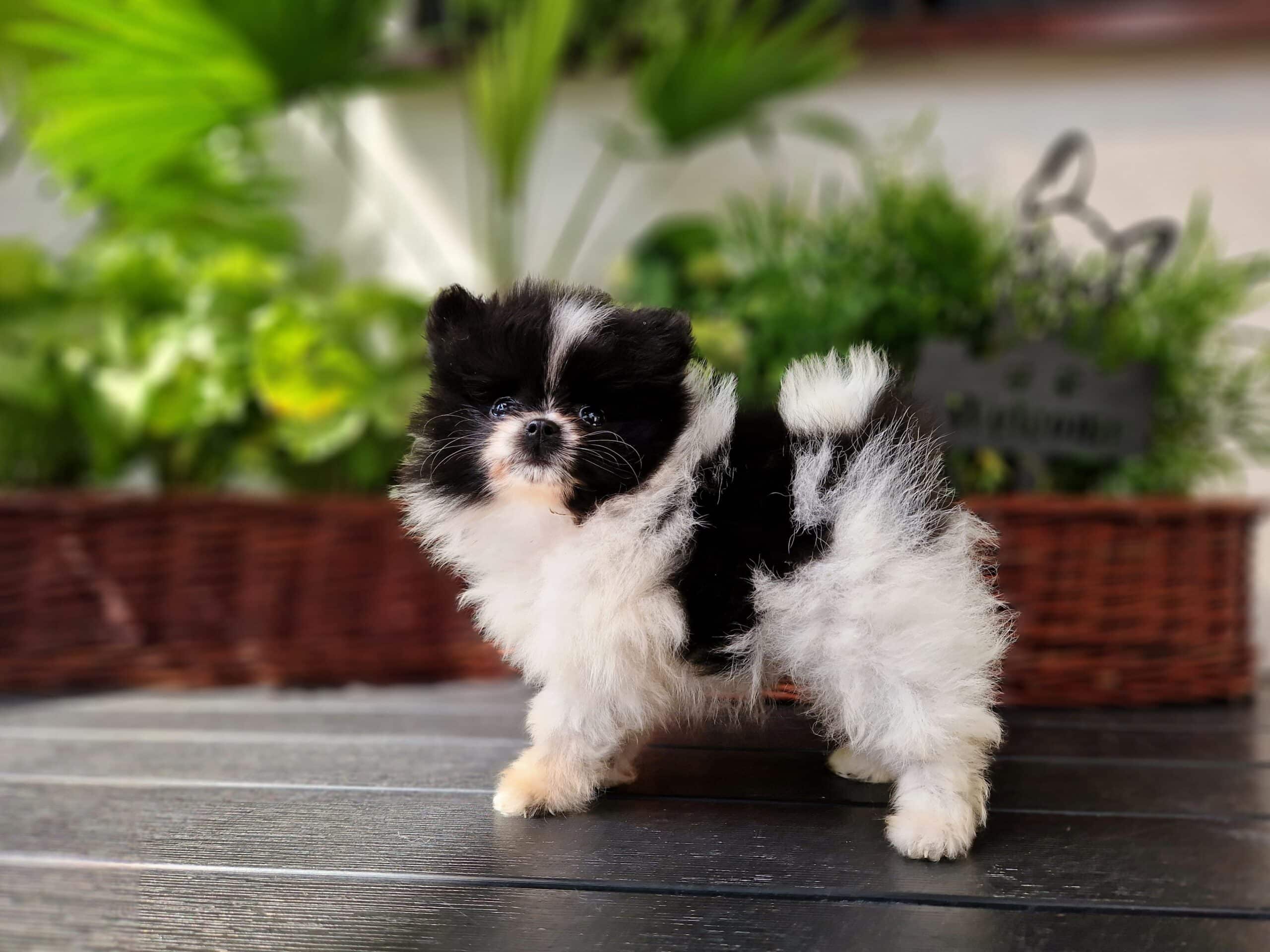 20240701 155147 scaled