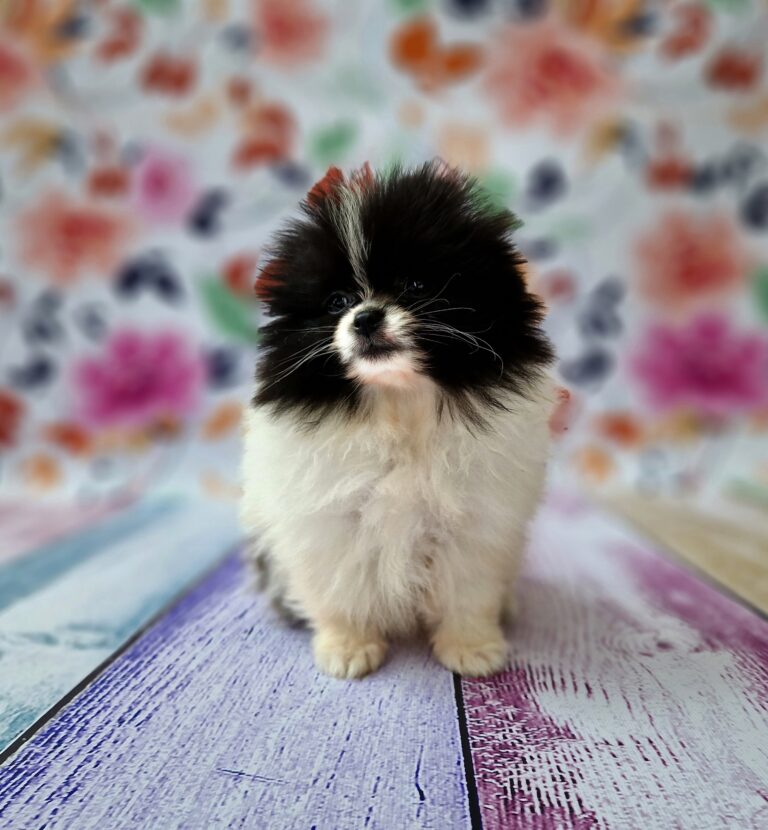 20240707_102510_resized