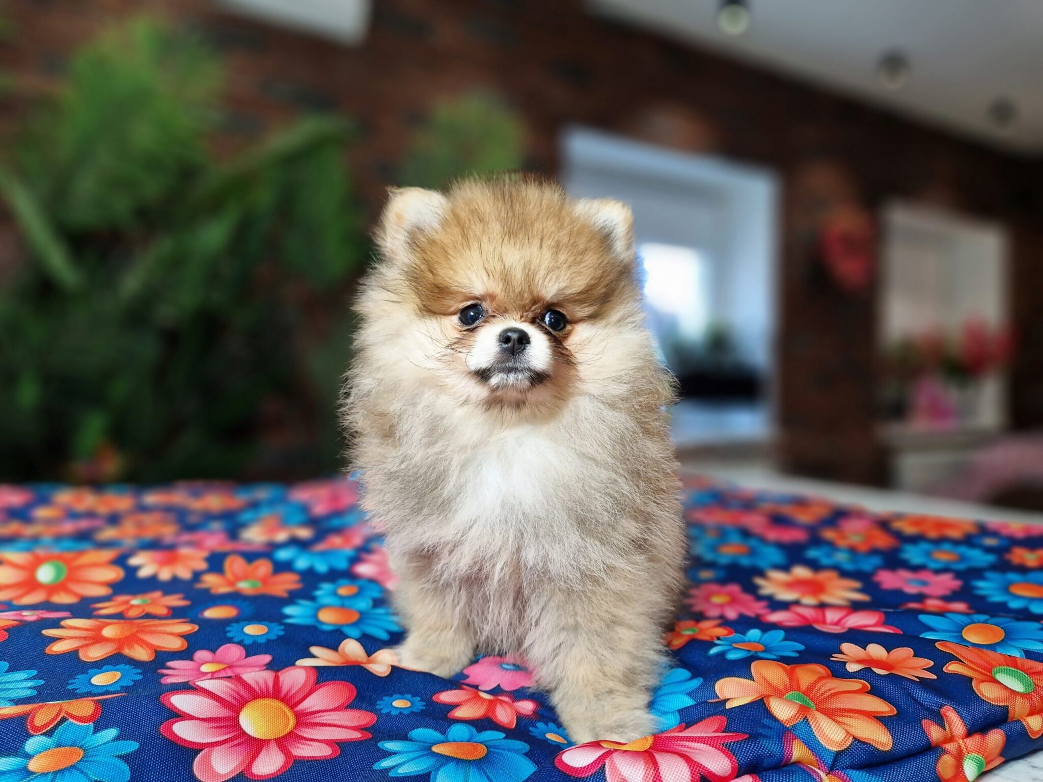 20240713 094637 scaled