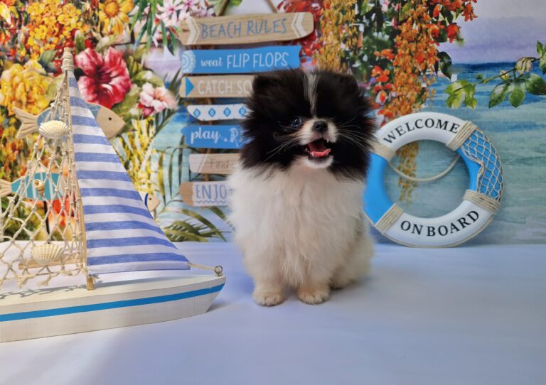 20240714 122804 scaled