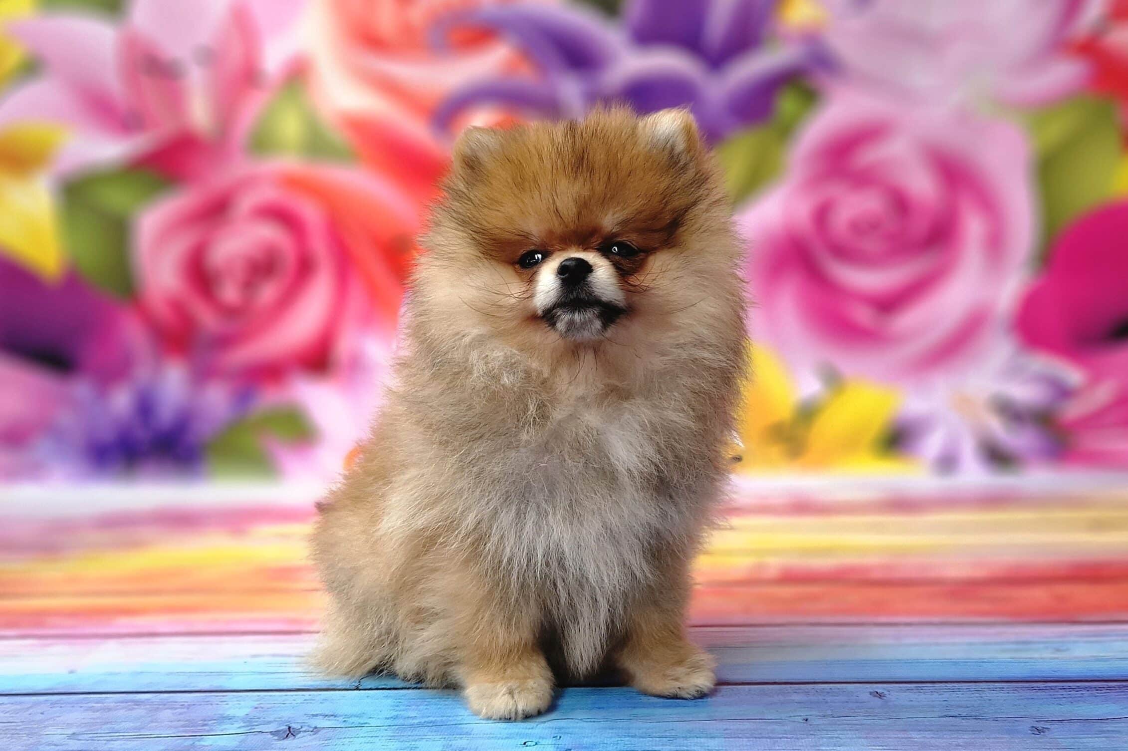 20240720 142352 resized scaled e1721805317697