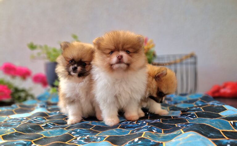 20230918 153058 scaled