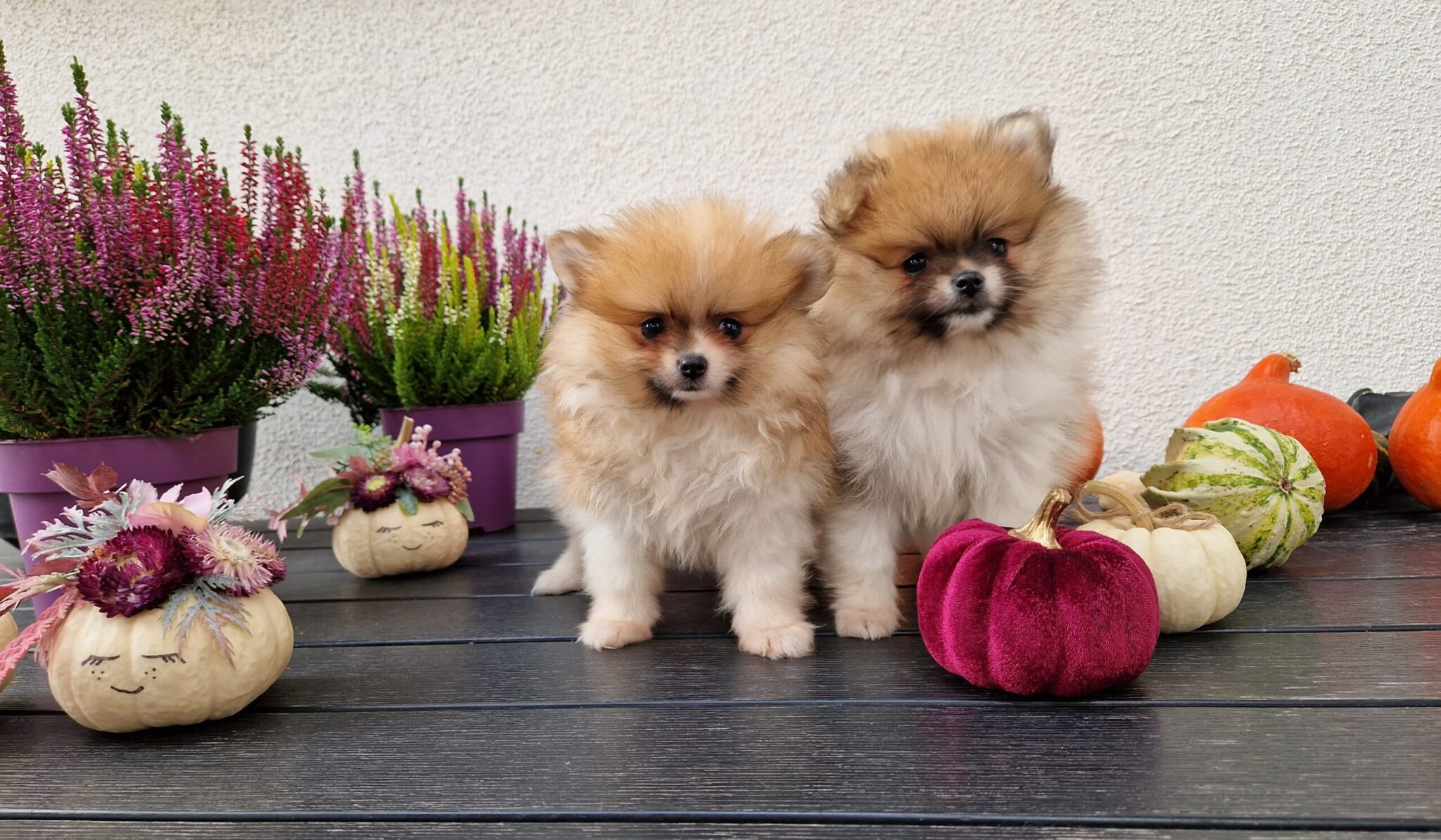 20230929 153227 scaled