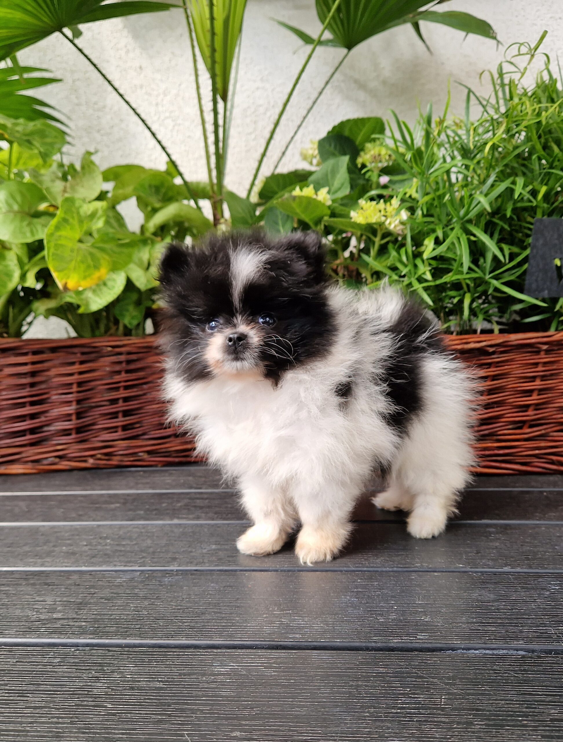 20240701 1549520 resized scaled