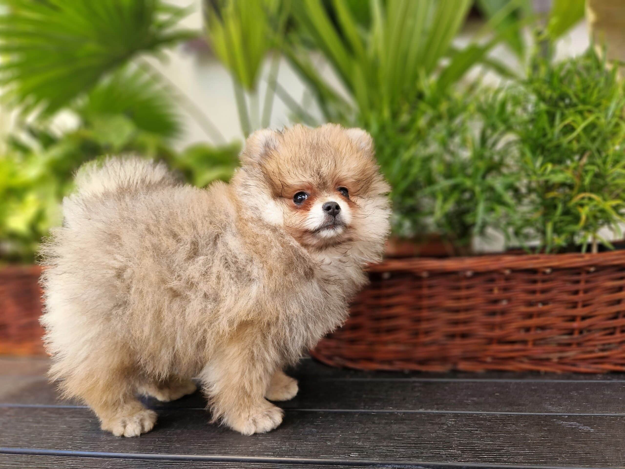 20240702 133929 scaled