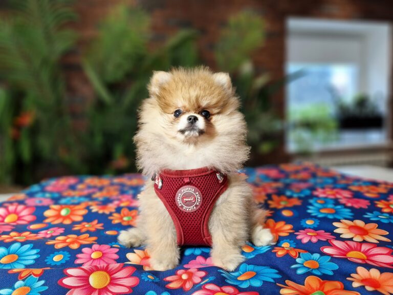 20240713 094451 scaled