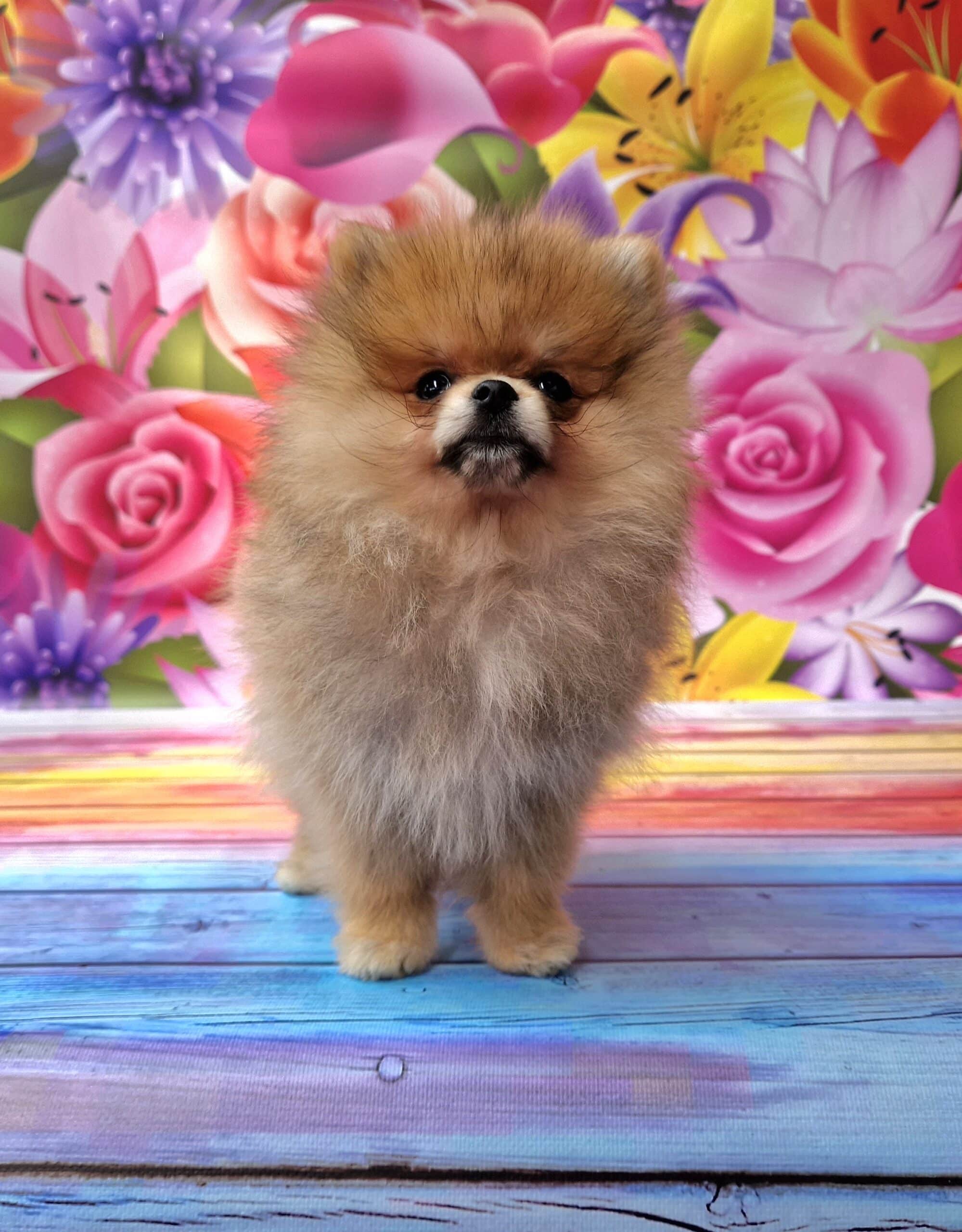 20240720_142348_resized