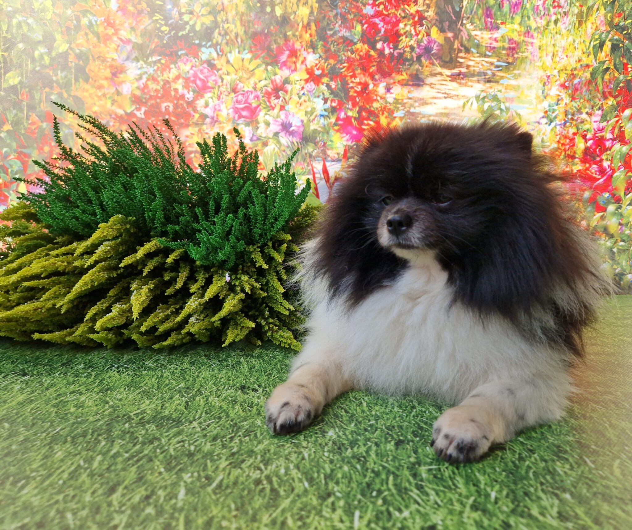 20240917 155844 003 saved 1 scaled