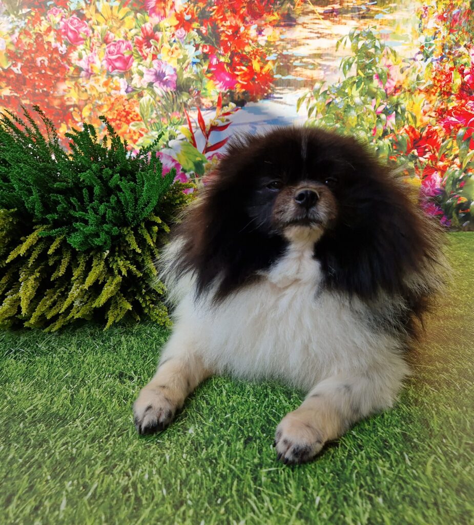 20240917 155855 resized scaled