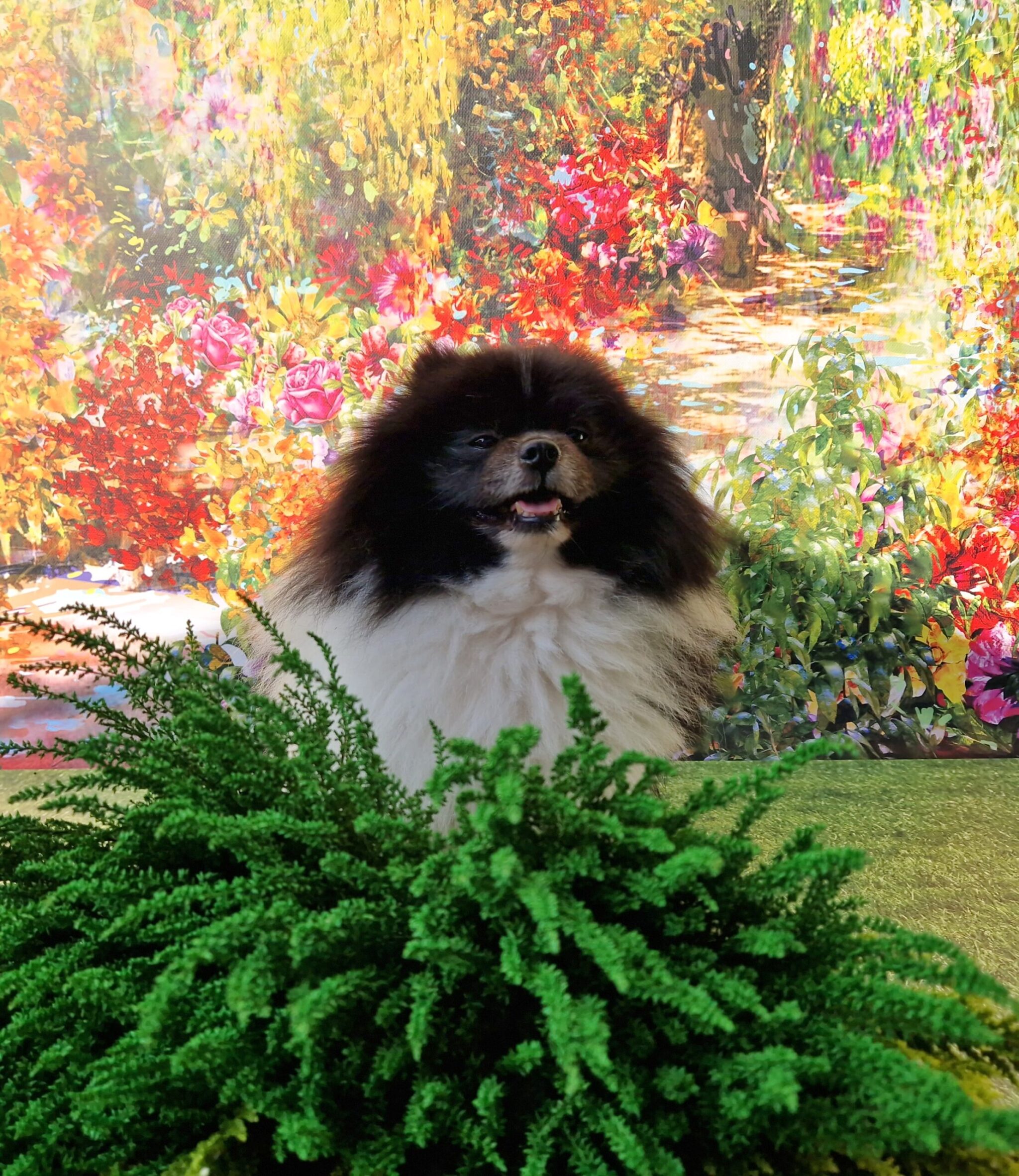 20240917 155942 021 saved resized scaled