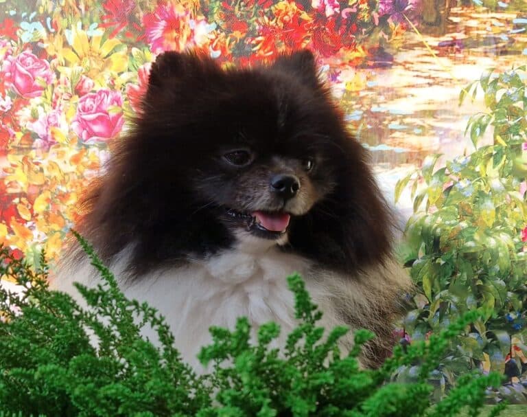 20240917 160003 012 resized e1726835562581