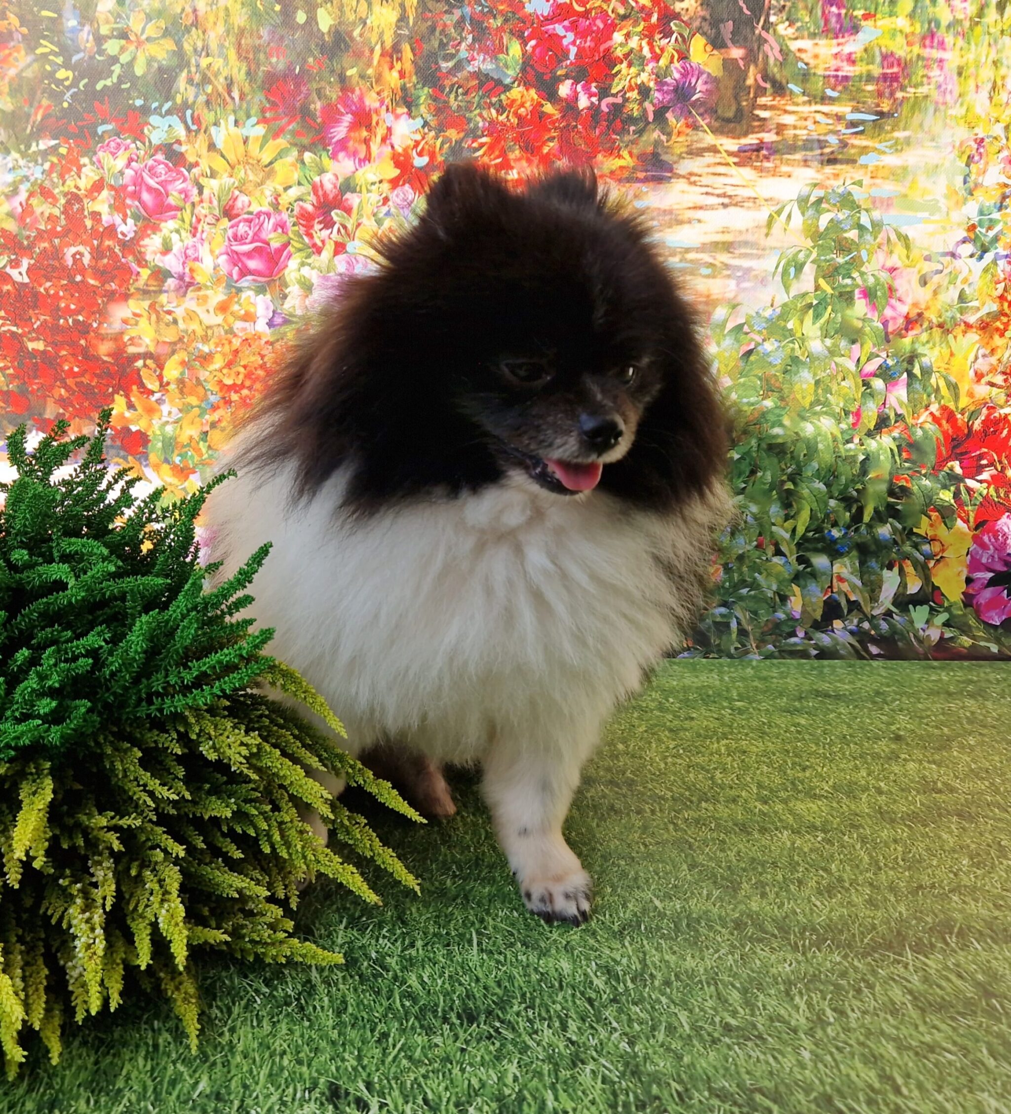 20240917 160016 009 resized scaled