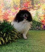 20240917 160100 010 resized scaled e1726835491595