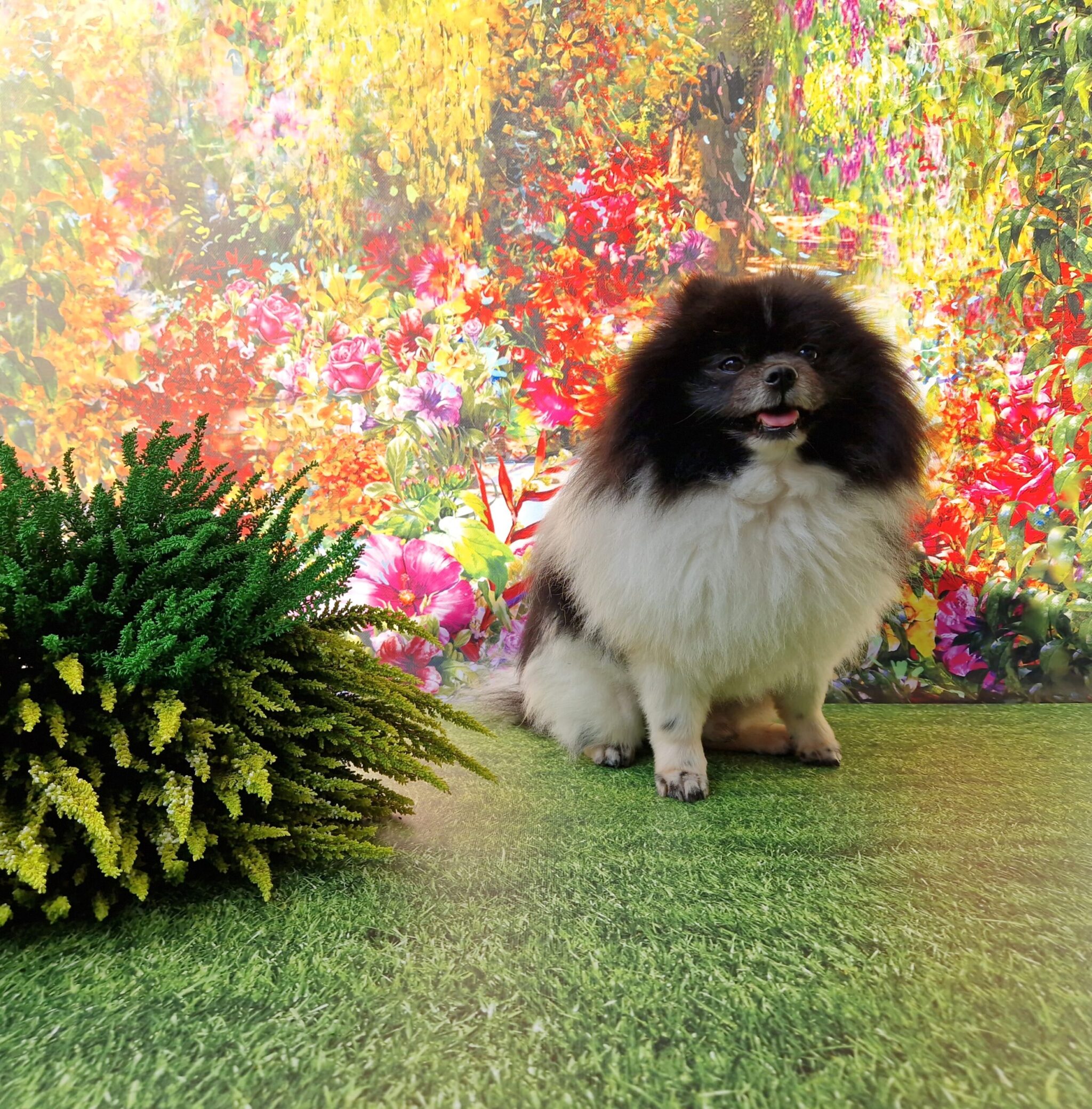 20240917 160207 022 resized scaled