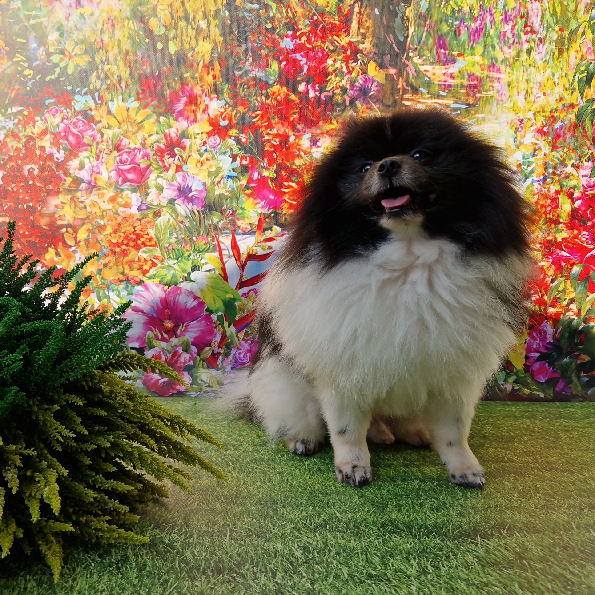 20240917 160225 021 saved resized