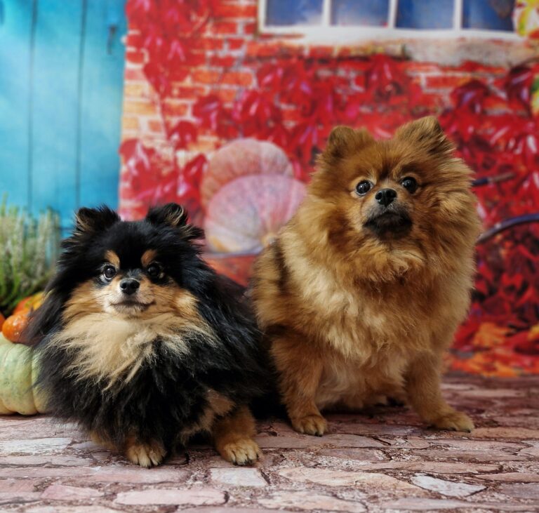 20241005 124619 resized scaled