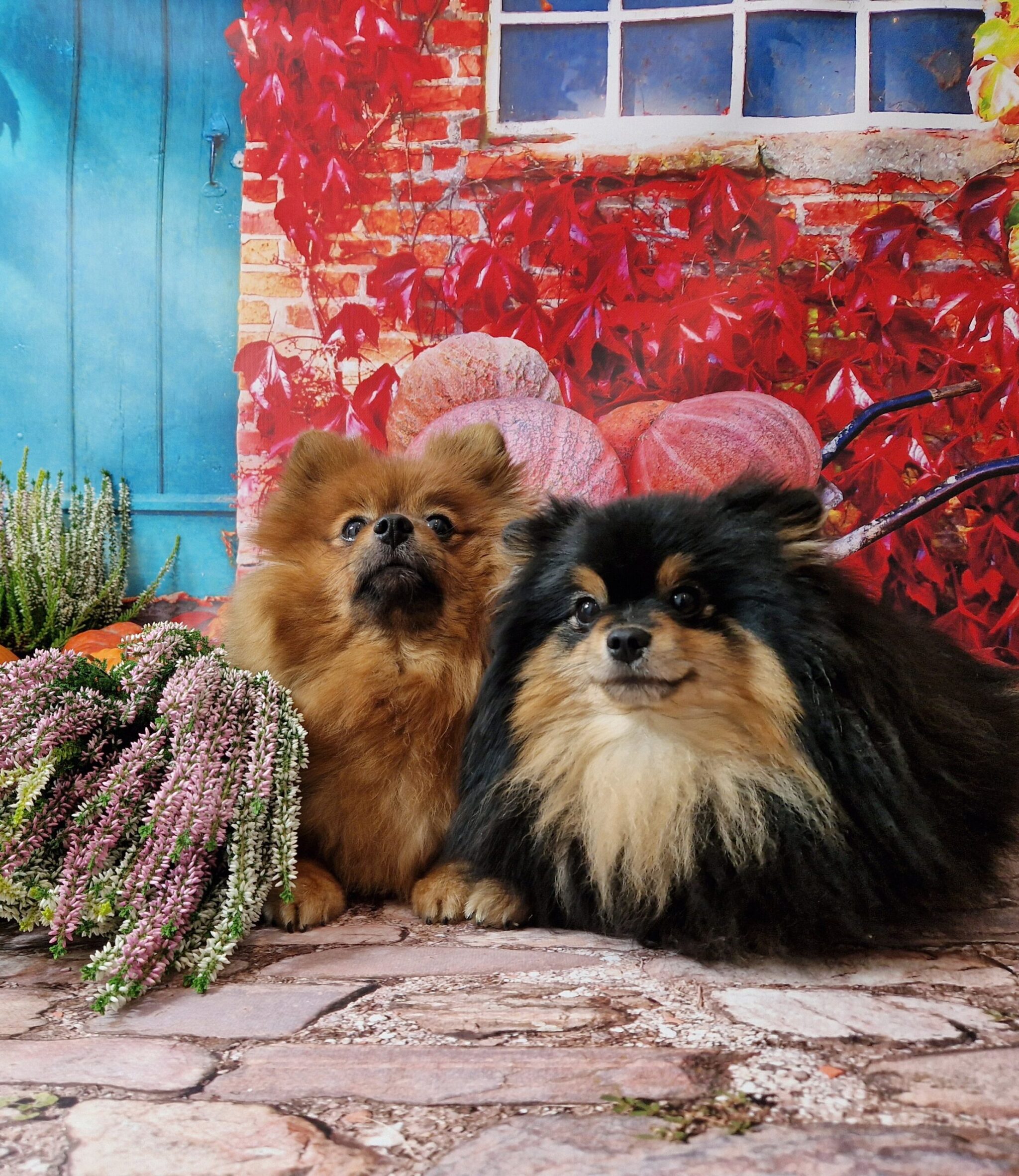 20241005 124905 resized scaled