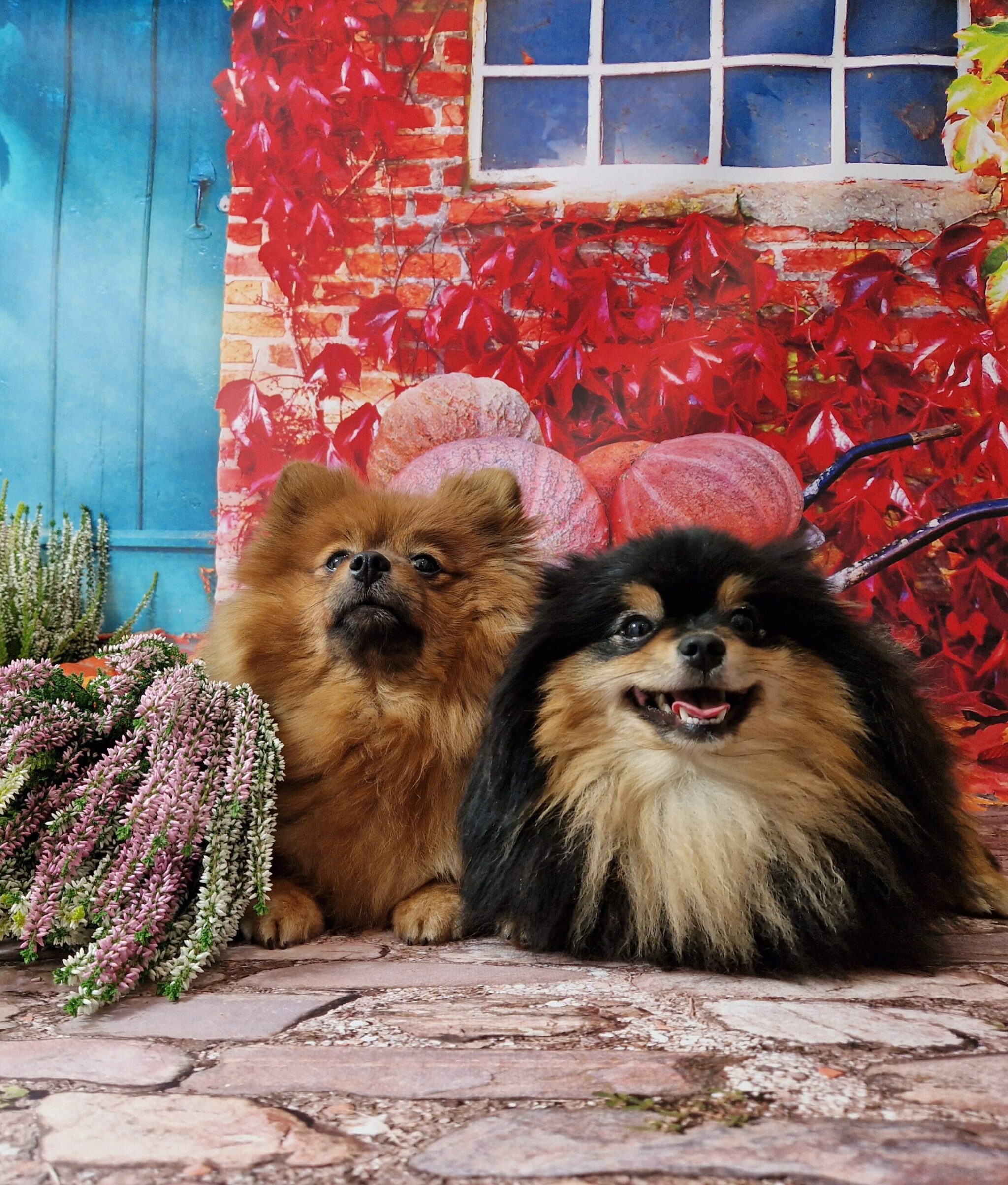 20241005 124920 resized scaled