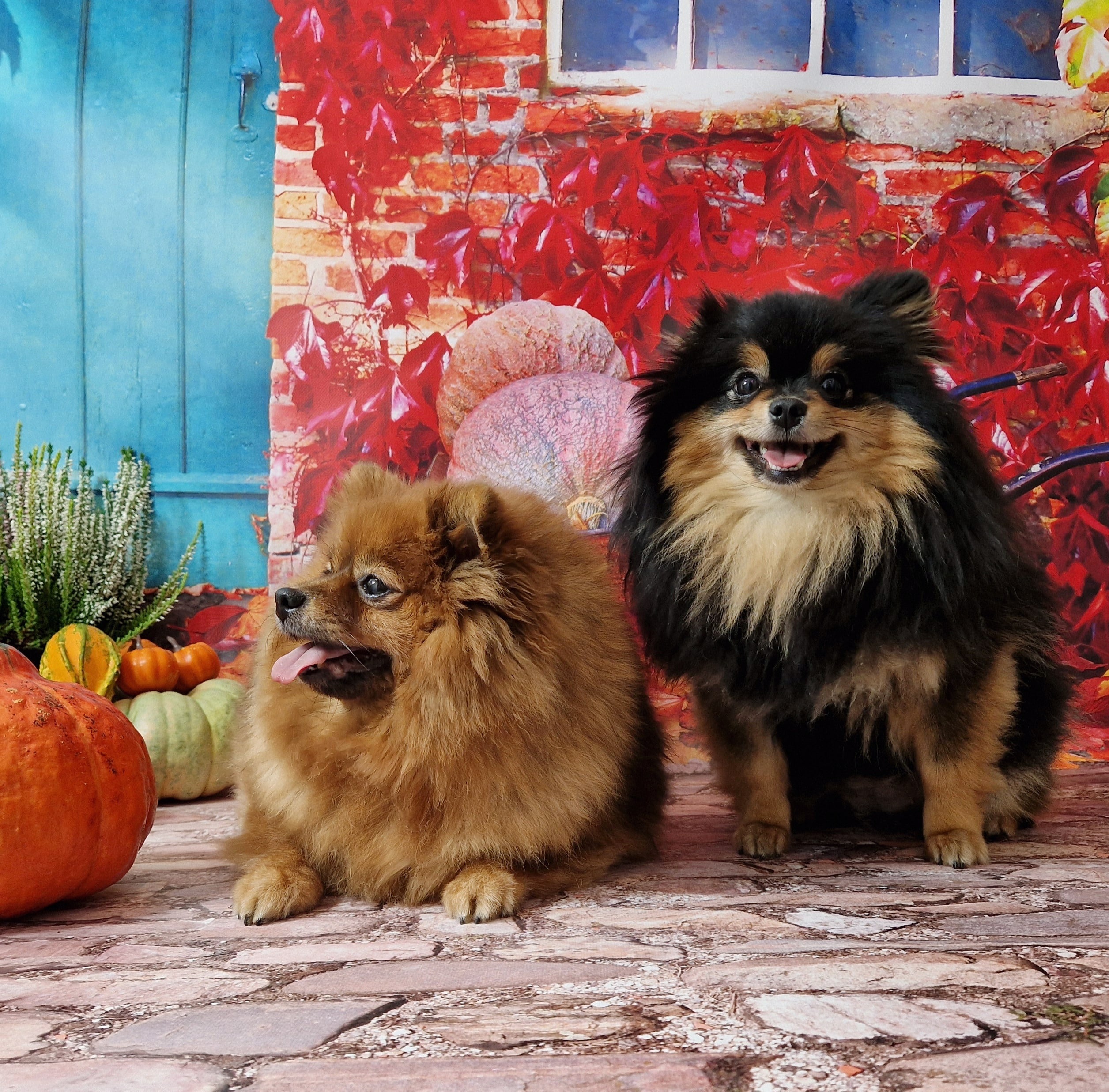 20241005 125113 resized 1