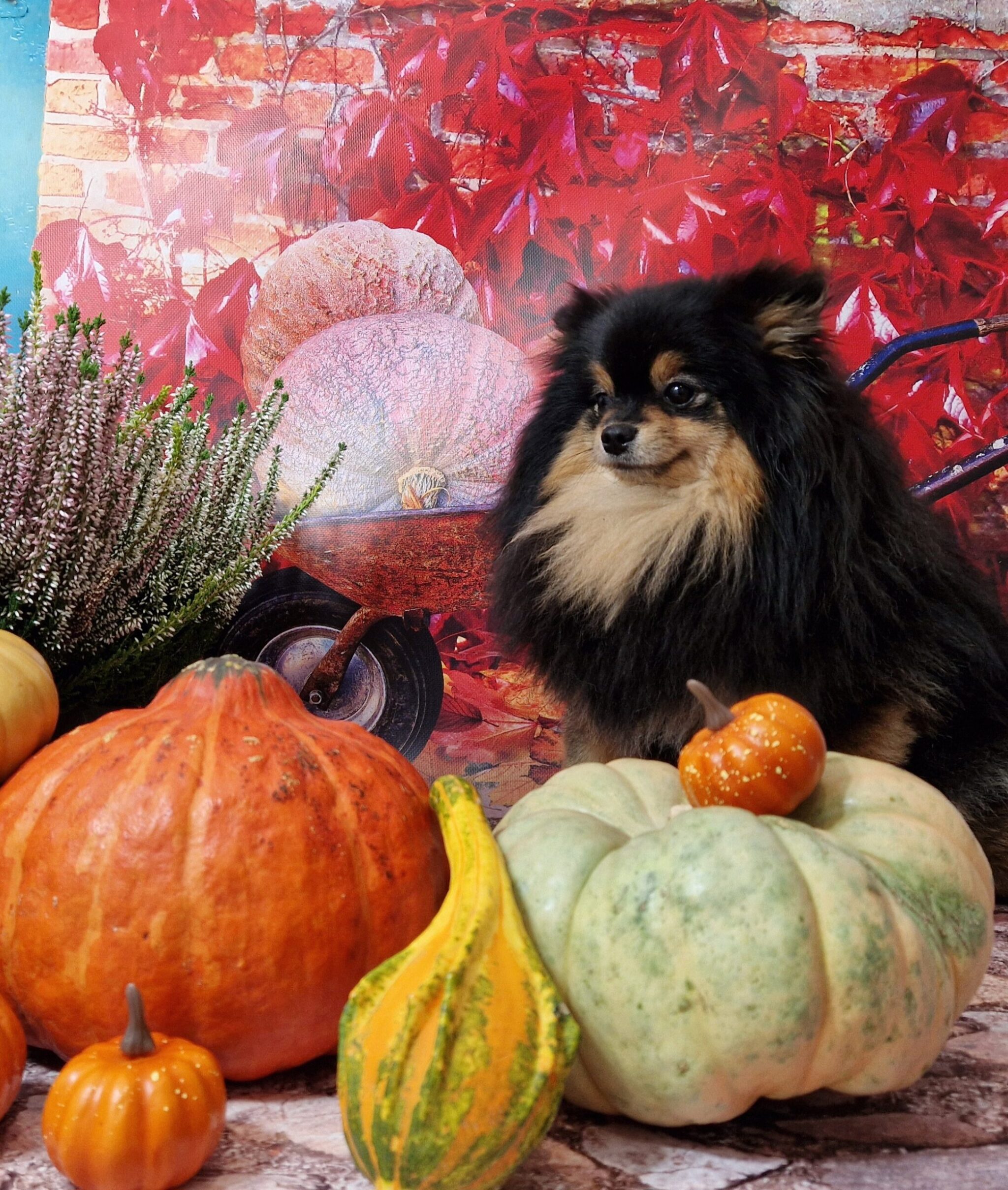 20241005 130643 resized scaled