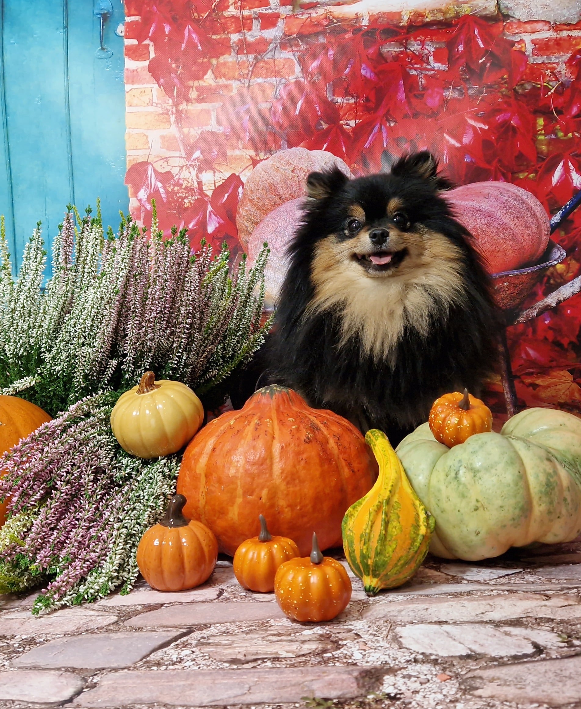 20241005 130821 022 saved resized