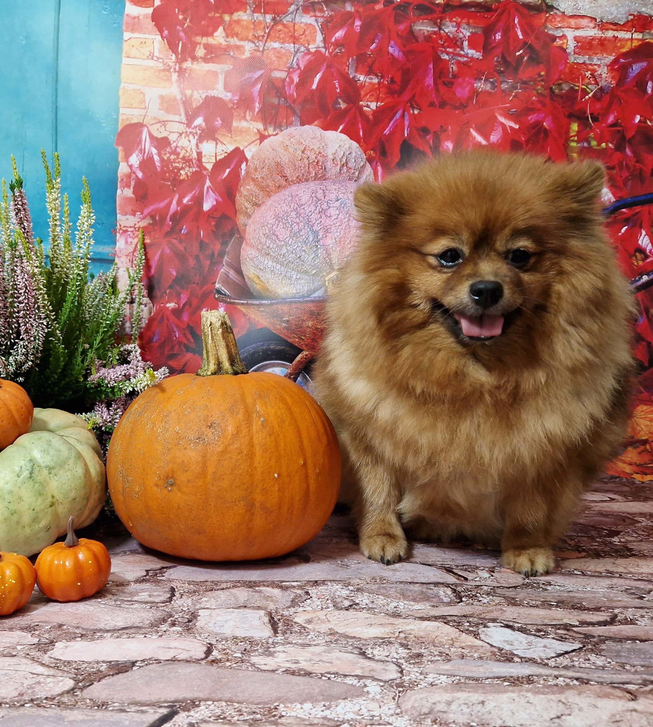 20241005 132425 040 saved resized