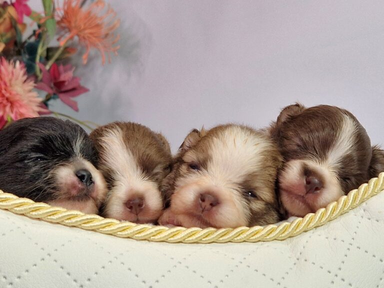 20241026 131628 scaled