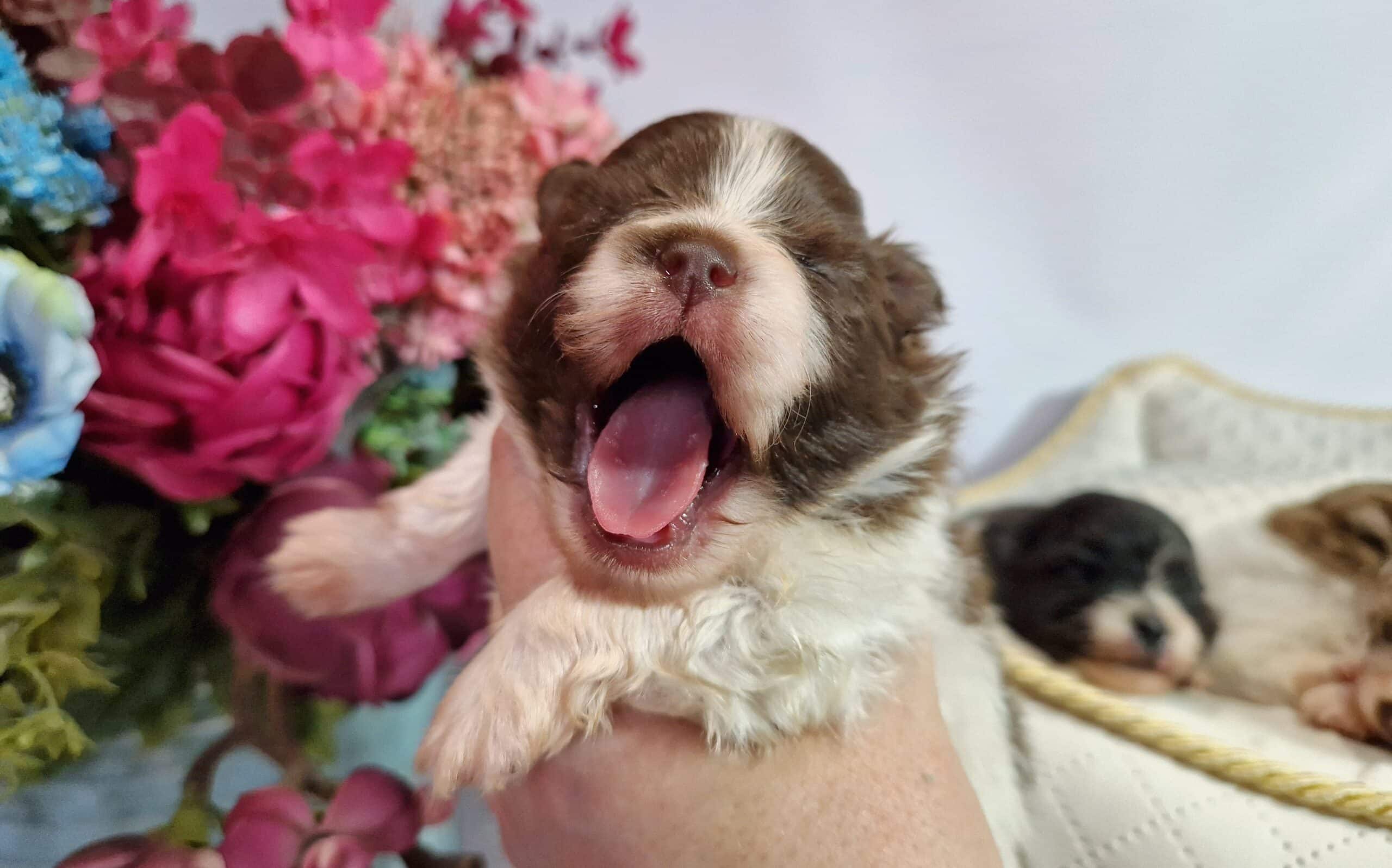 20241026 131849 scaled