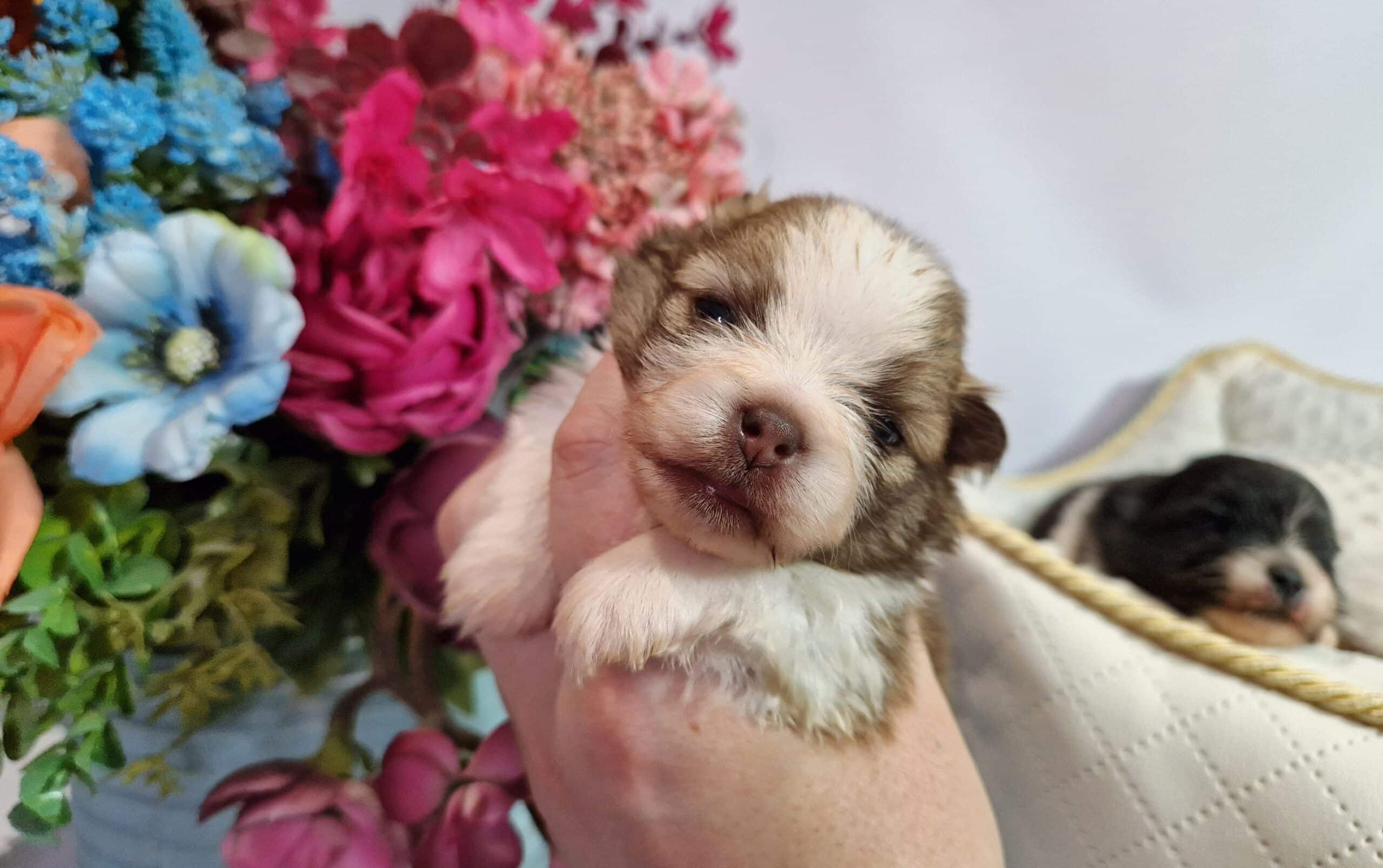 20241026 1319230 scaled