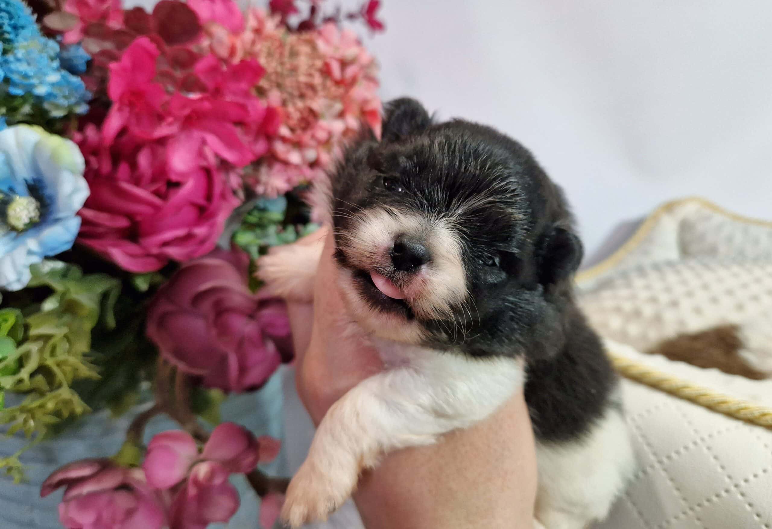 20241026 1320580 scaled