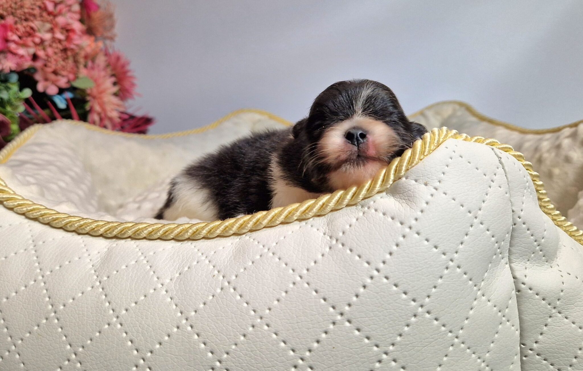 20241026 1357350 scaled