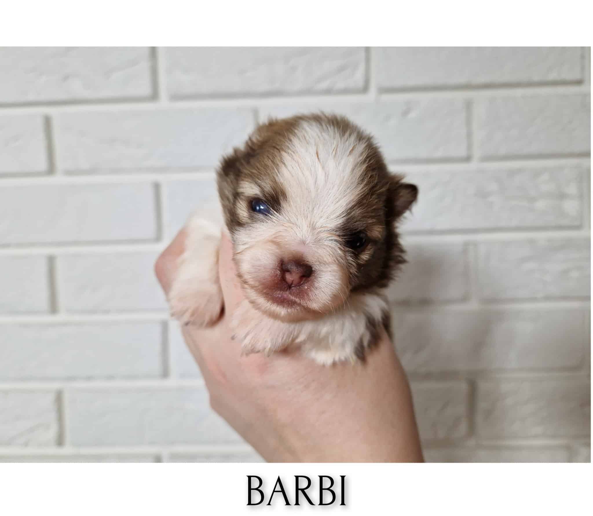 InFrame 1729945290219