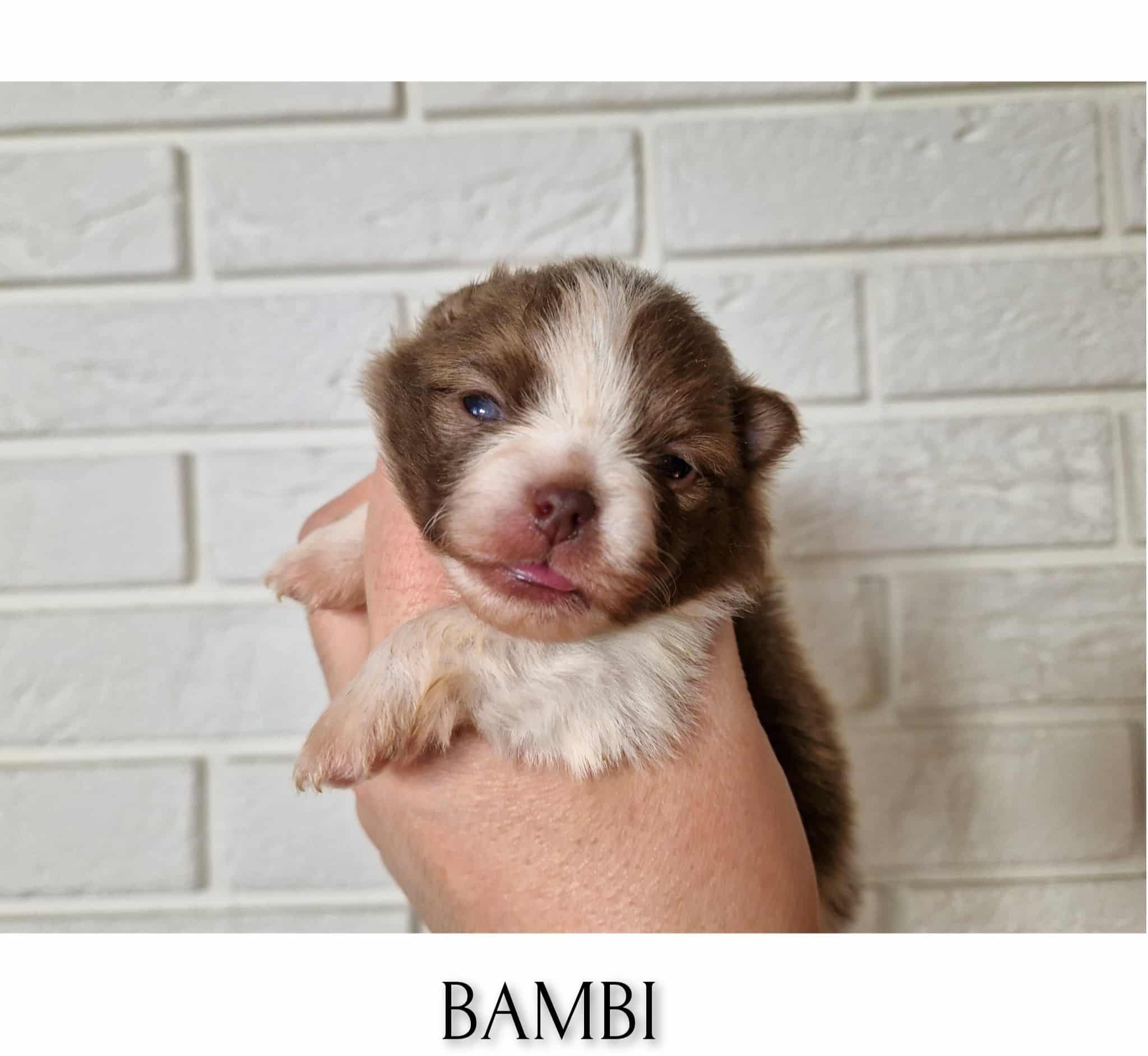 InFrame 1729945315274