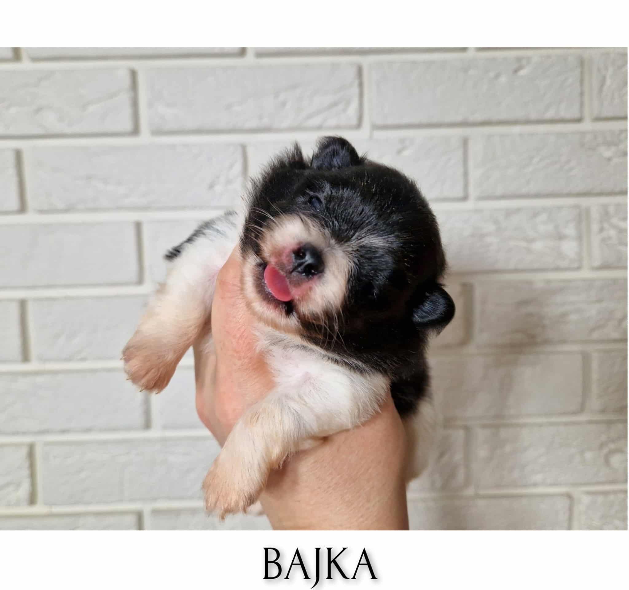 InFrame 1729945339029