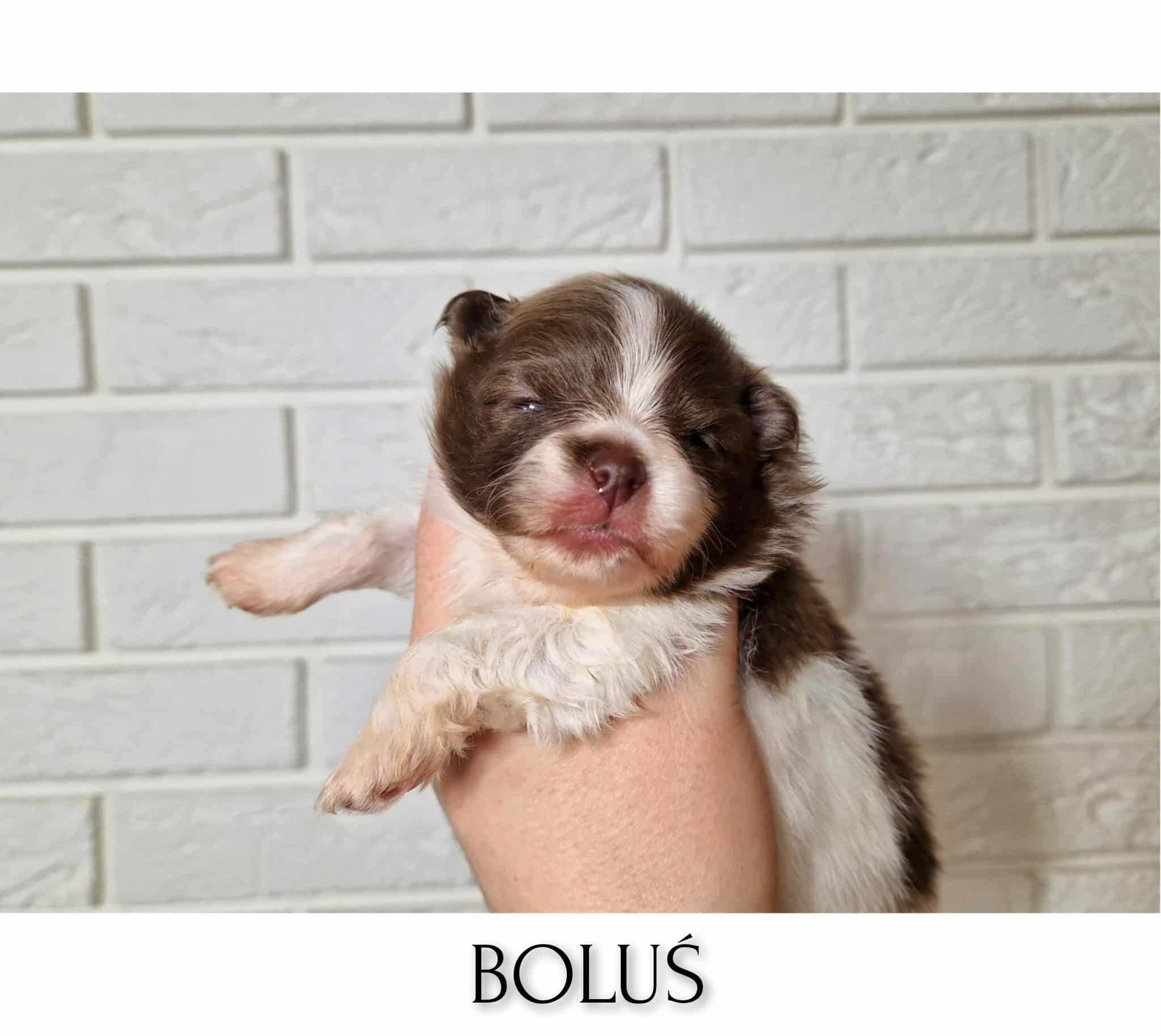 InFrame 1729945371190