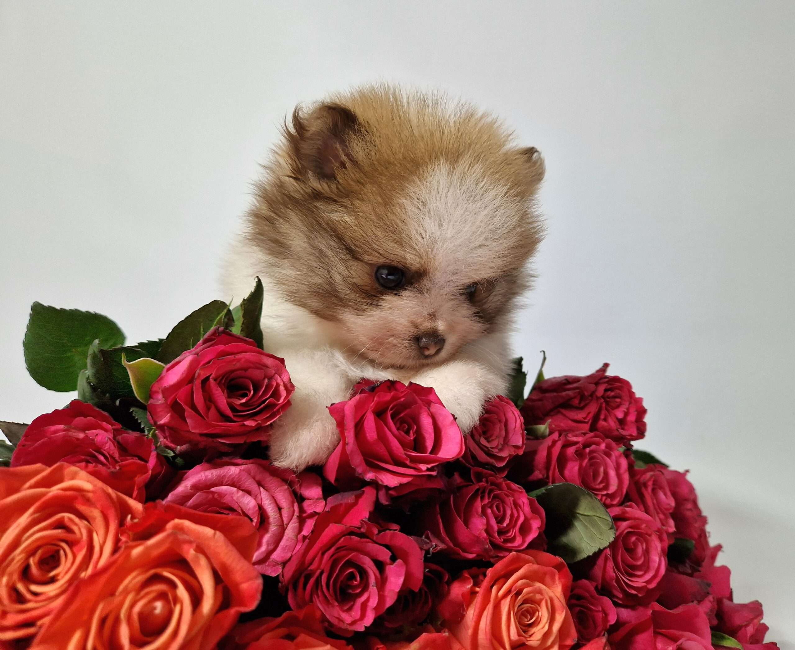 20241117 113701 scaled