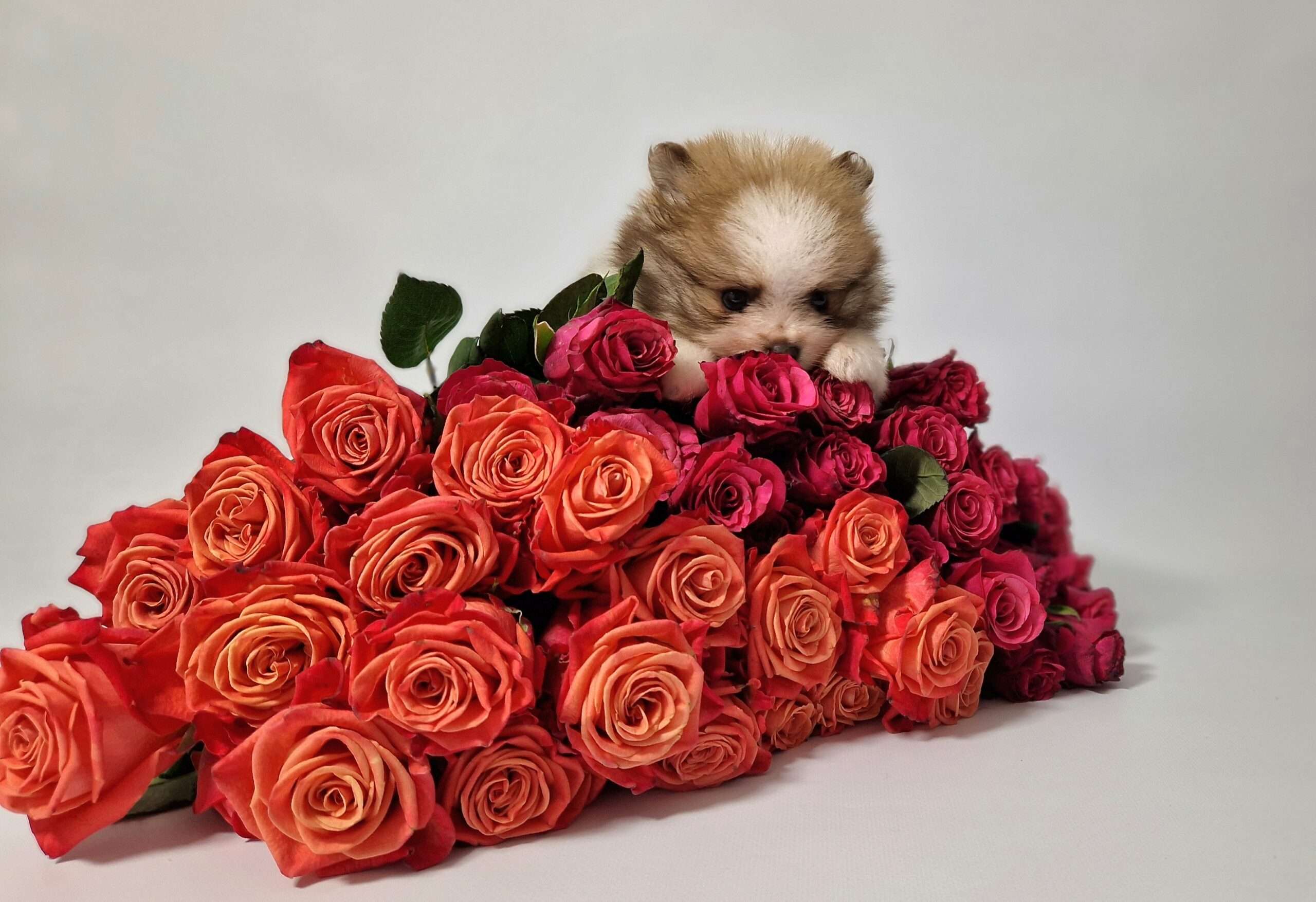 20241117 113714 scaled