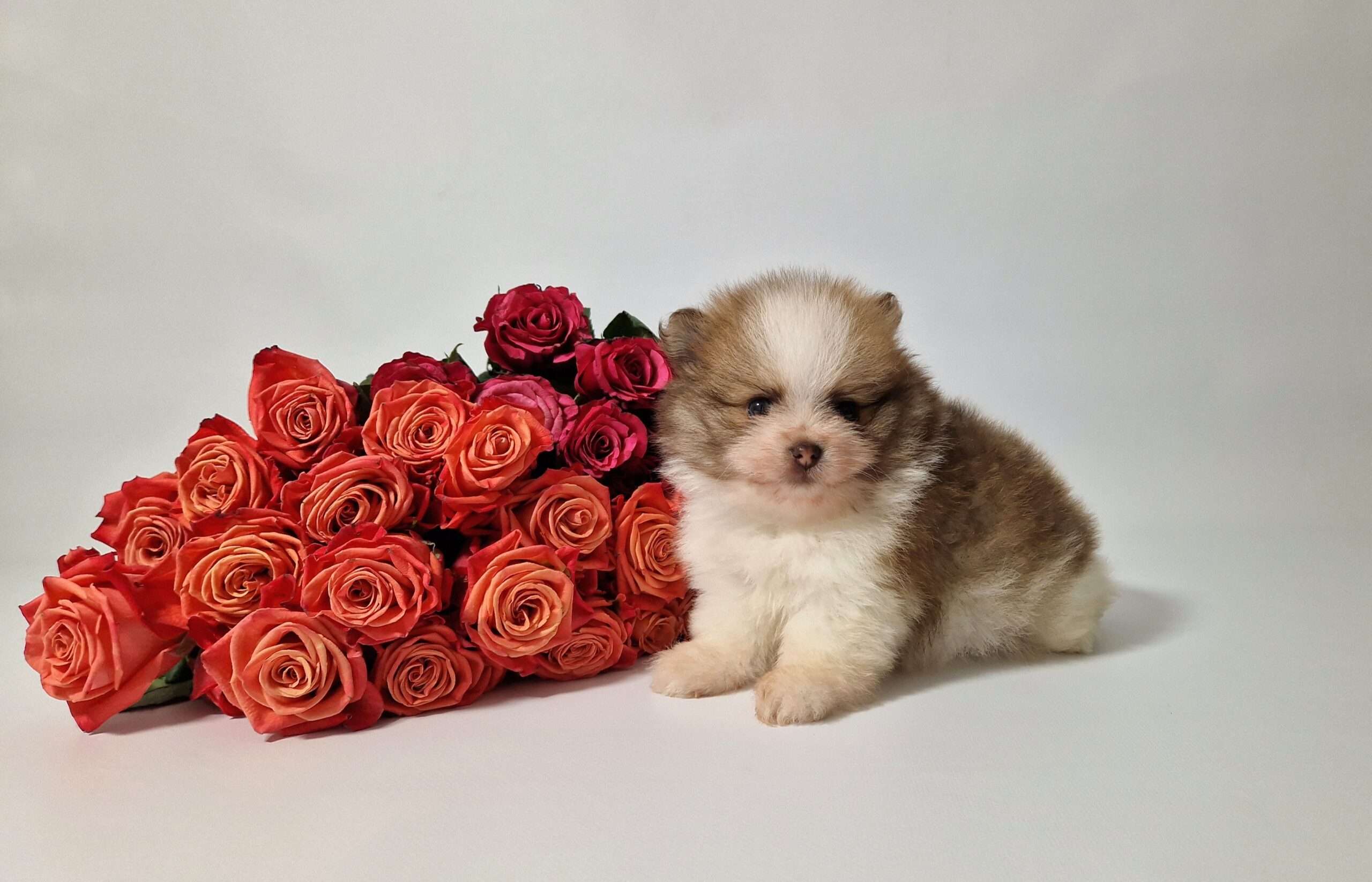 20241117 1137550 scaled