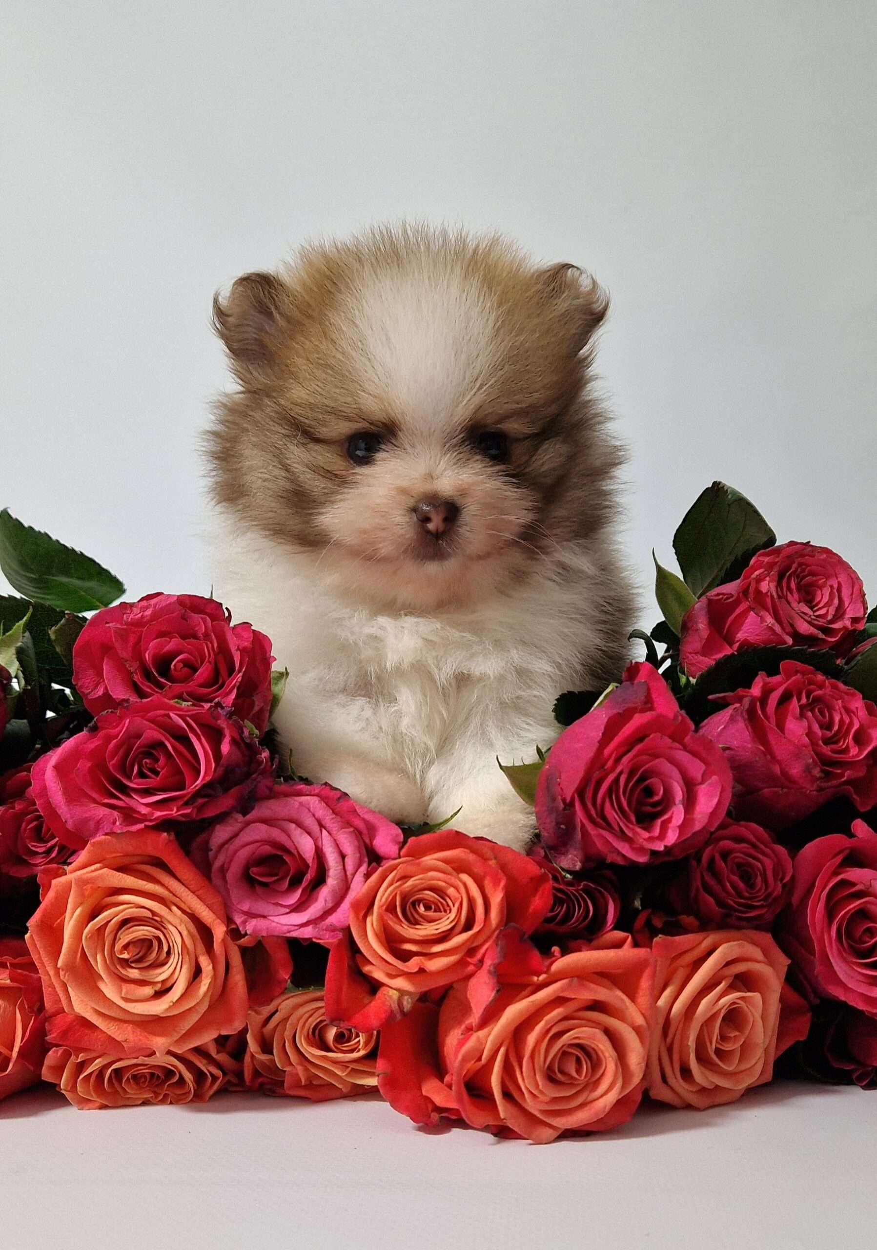 20241117 113900 resized scaled