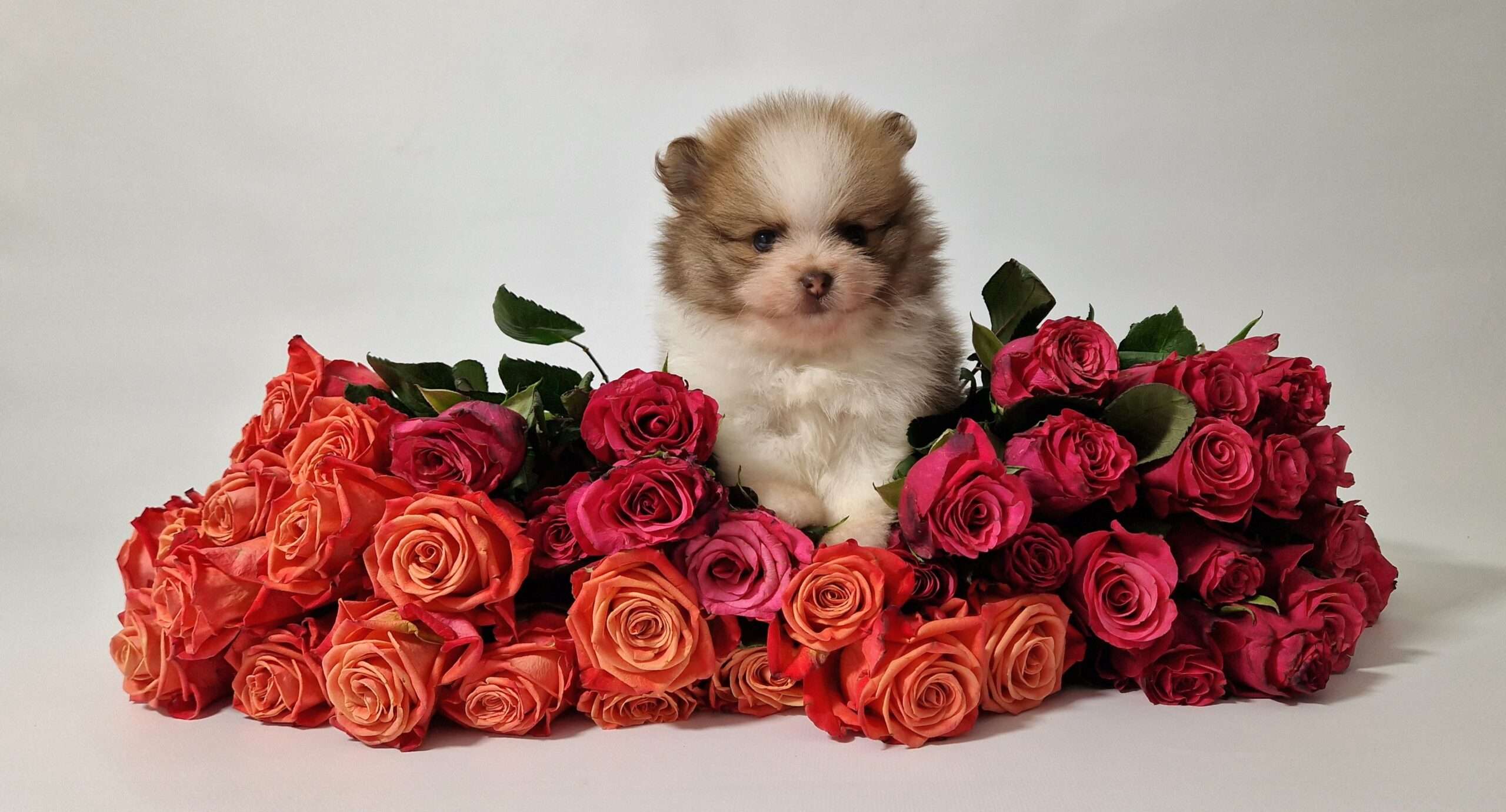 20241117 113908 scaled