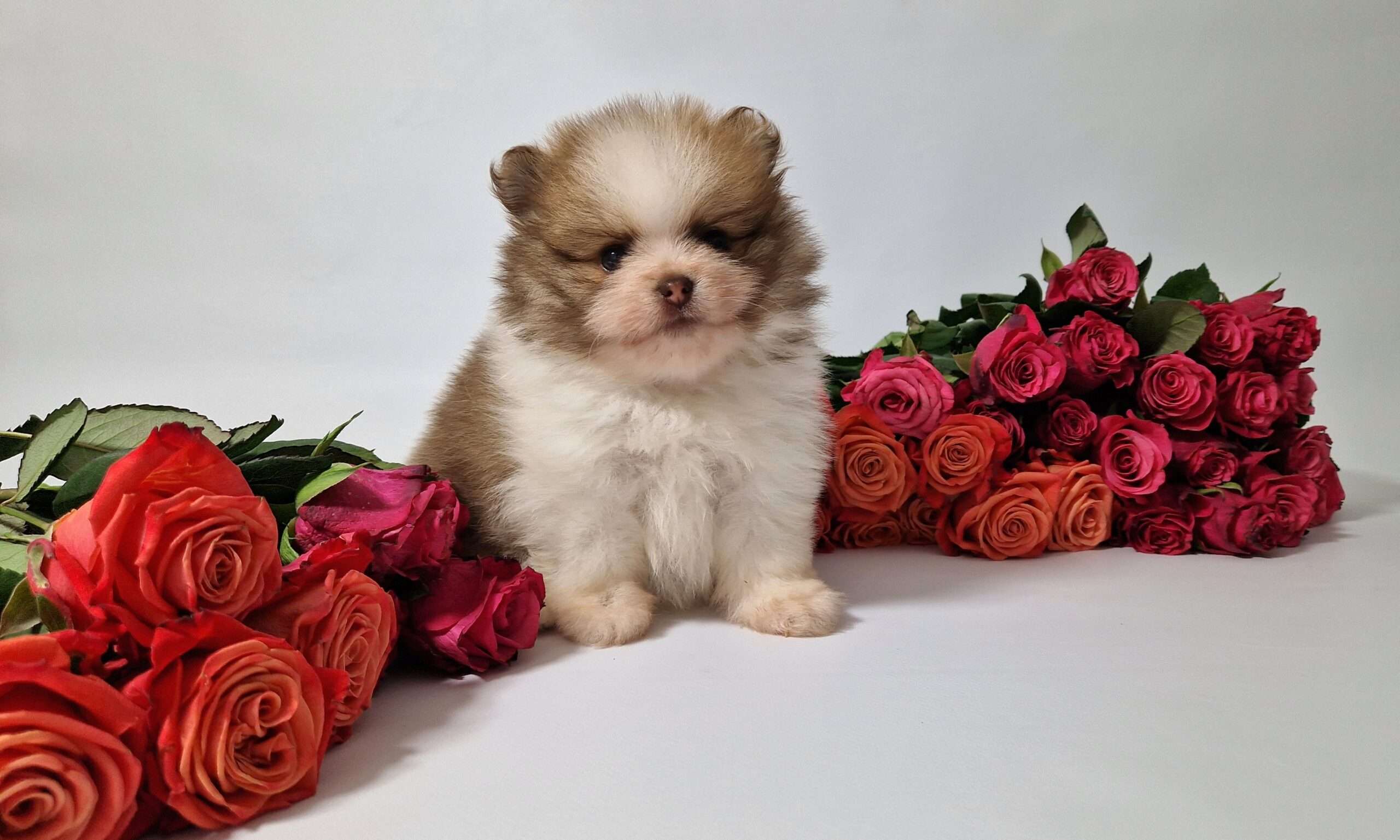 20241117 114027 scaled