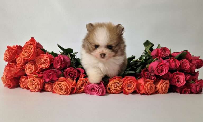 20241117 114853 scaled