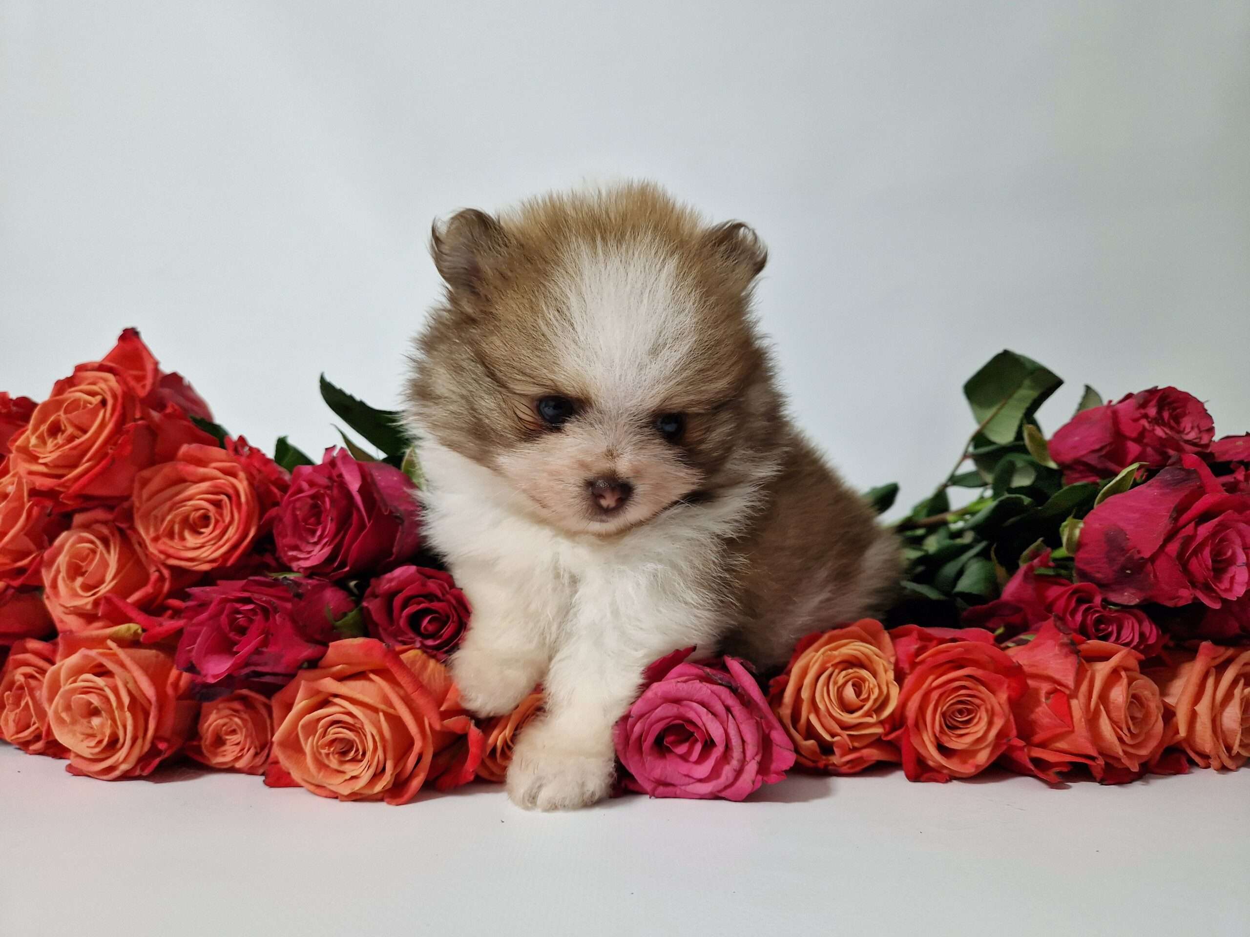 20241117 114956 scaled