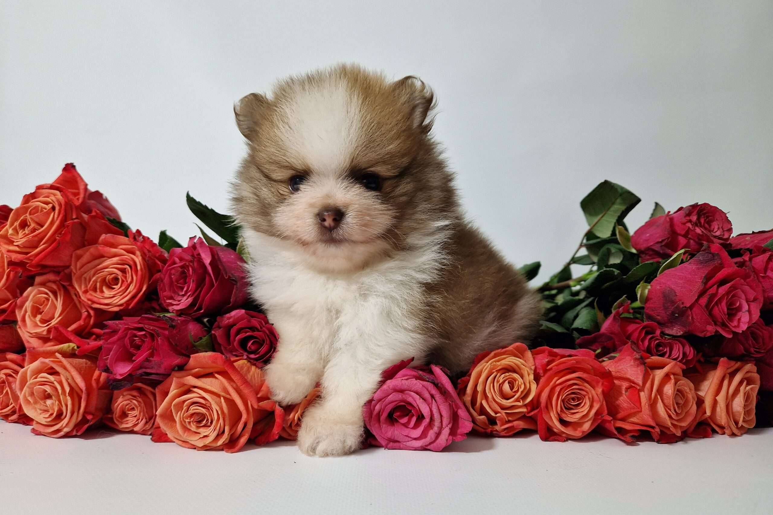 20241117 114957 scaled