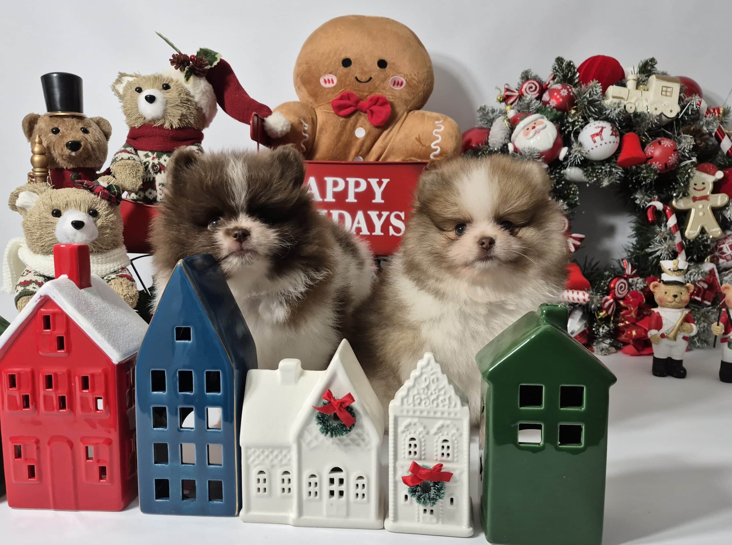 20241209 094142 053 saved