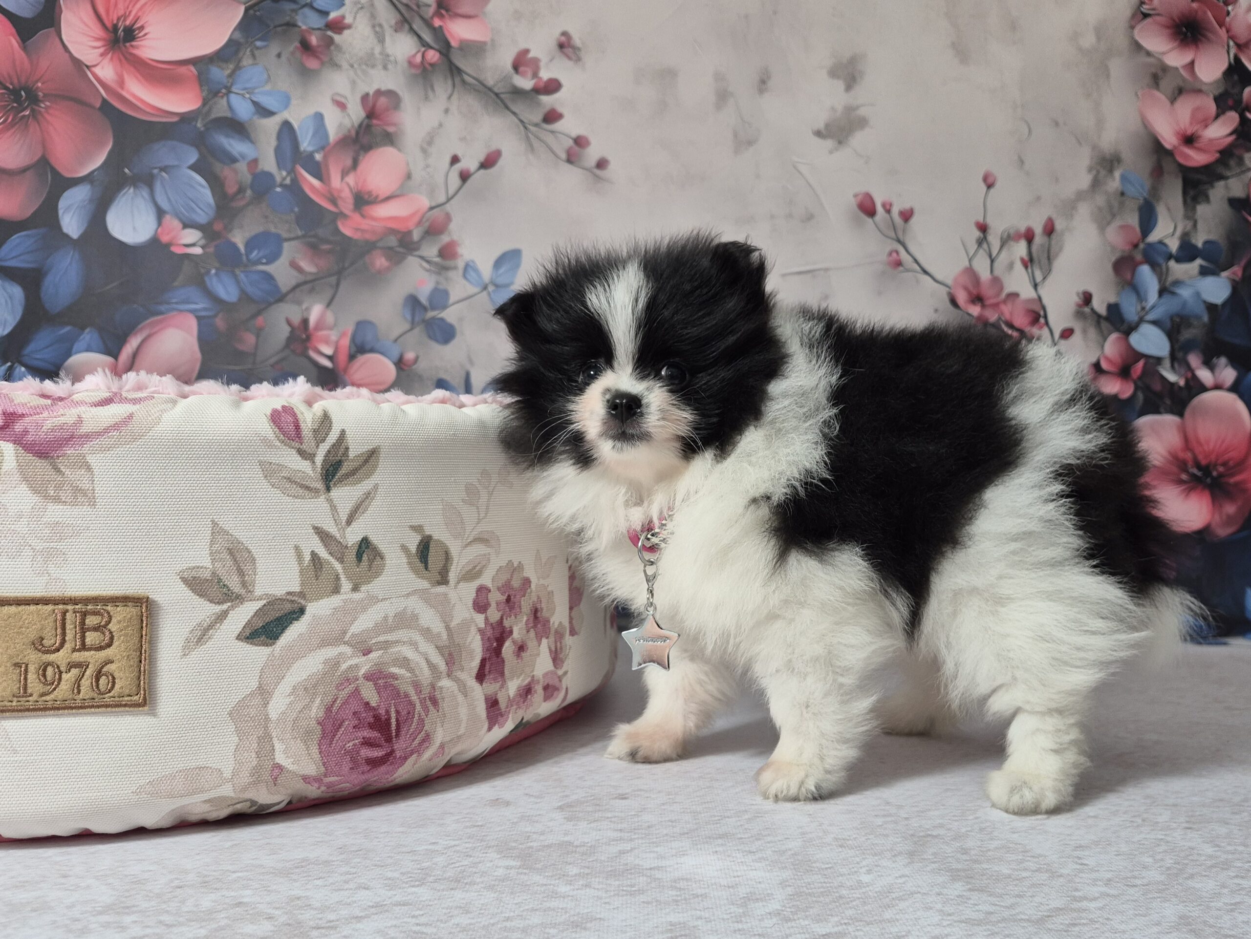 20250113 113151(0) resized